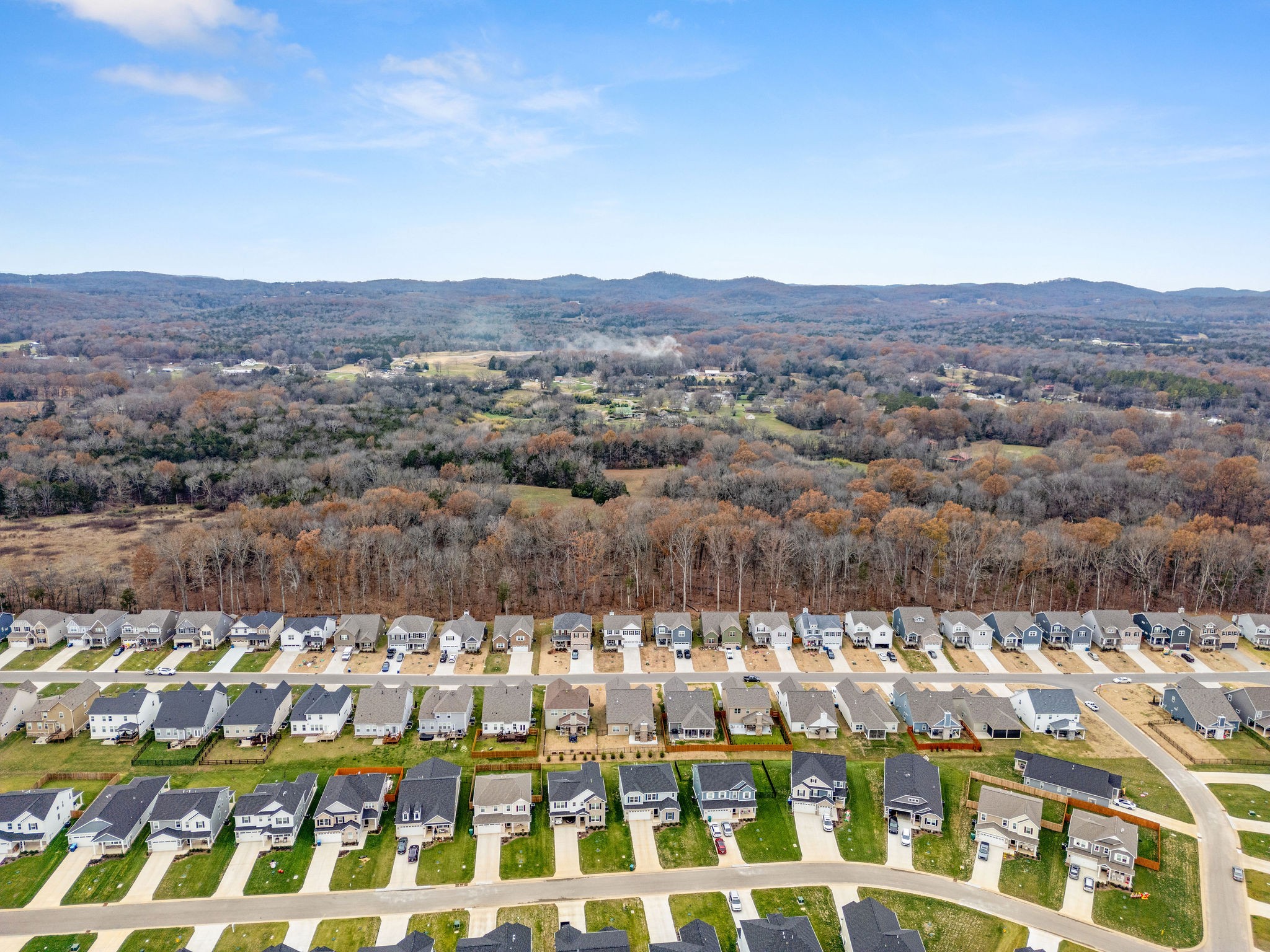 1454 Cotillion Dr Property Photo 35