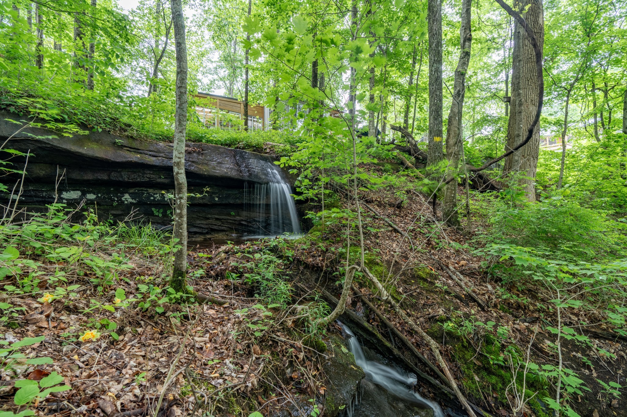 750 Woodland Trl Property Photo 4