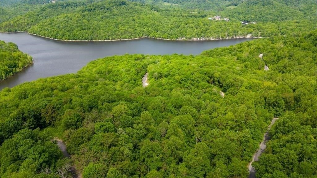 62 Maury Ln Property Photo 3