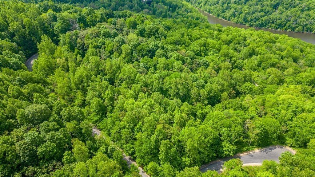 62 Maury Ln Property Photo 4