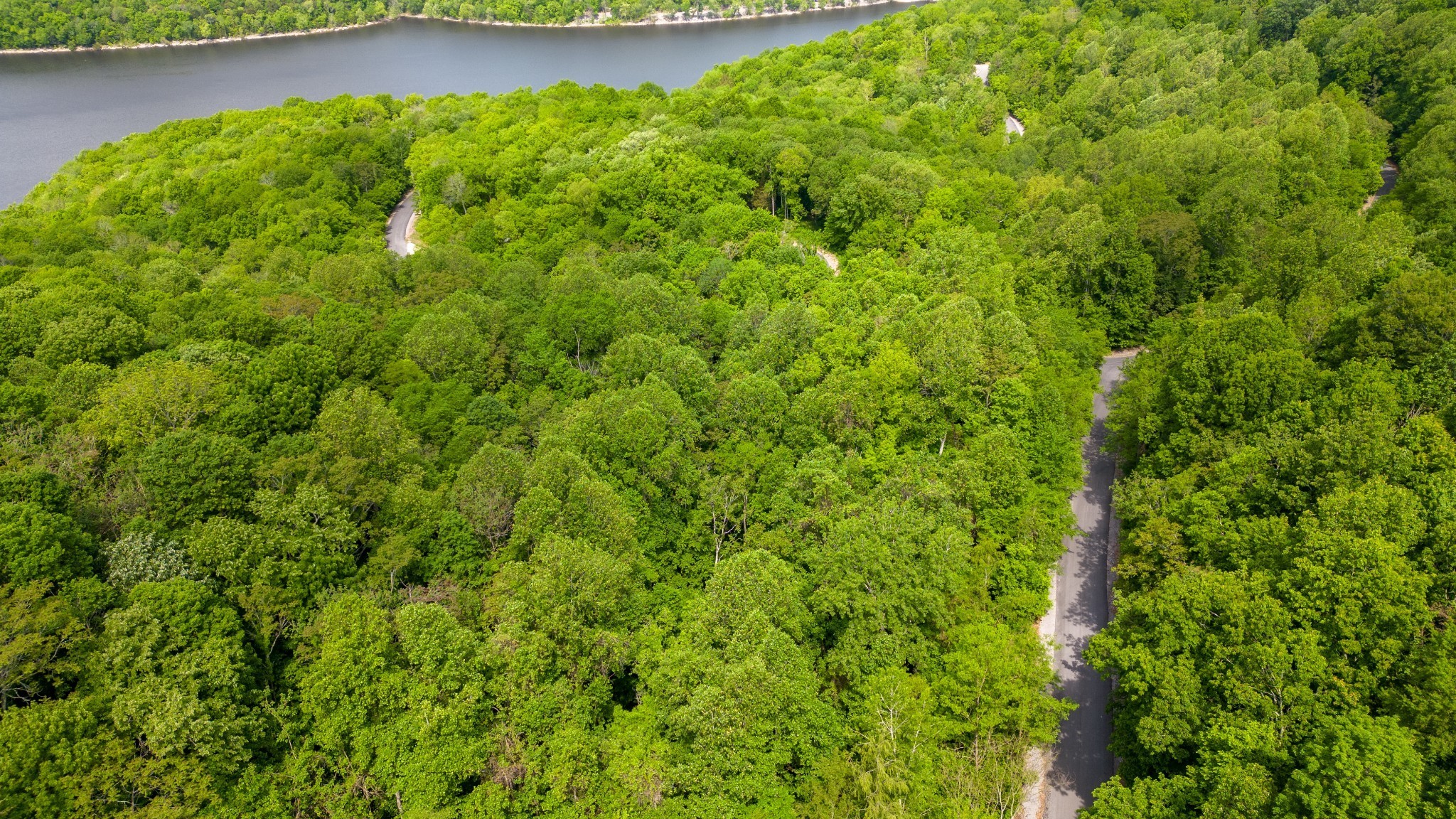 62 Maury Ln Property Photo 5