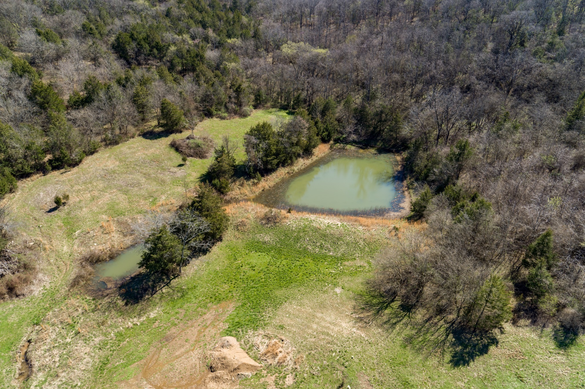6876 Giles Hill Rd Property Photo 1