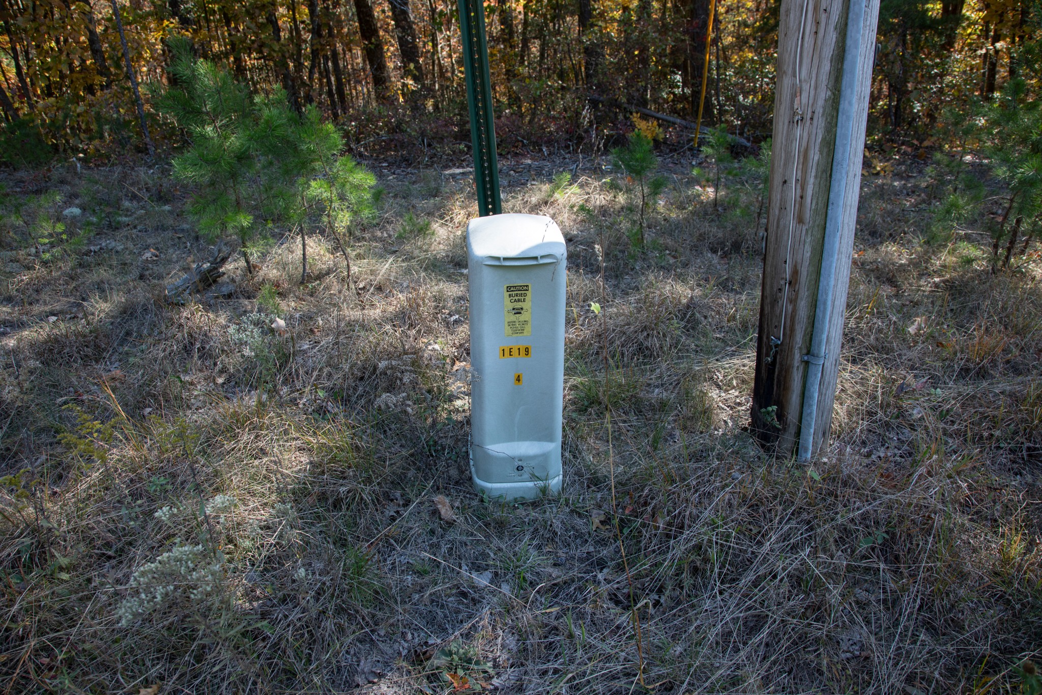 0 Wilder Highway Property Photo 3