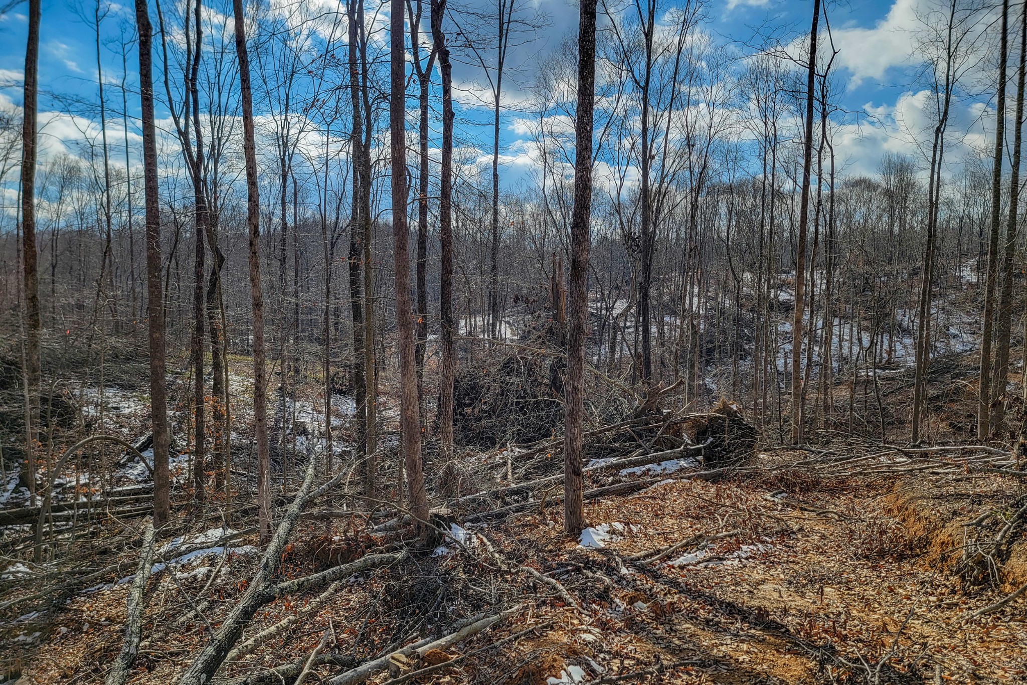 0 Hutchings Bend Rd Property Photo 2