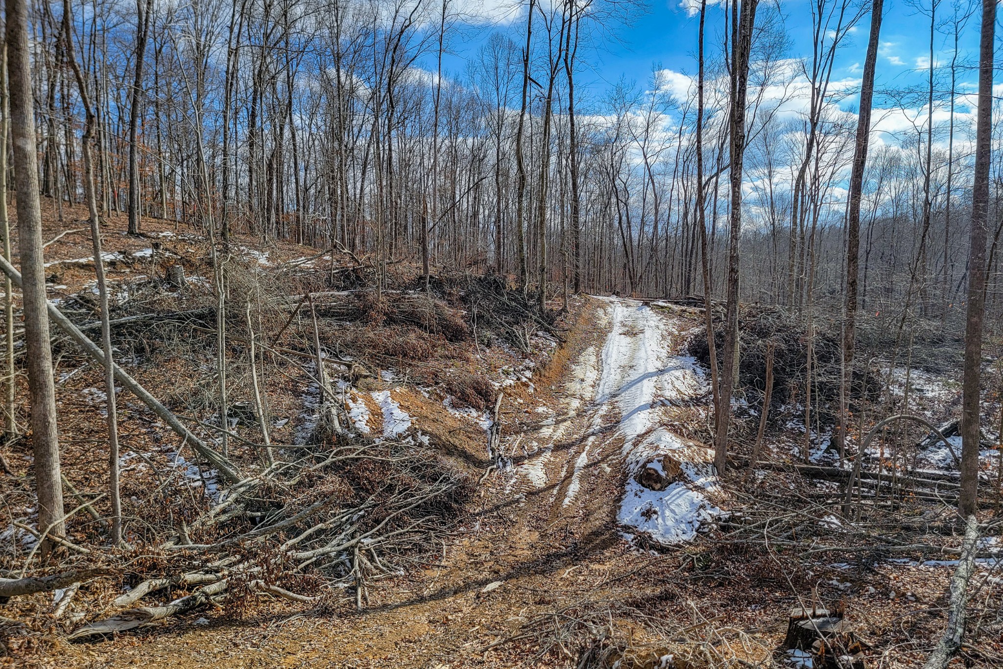 0 Hutchings Bend Rd Property Photo 3