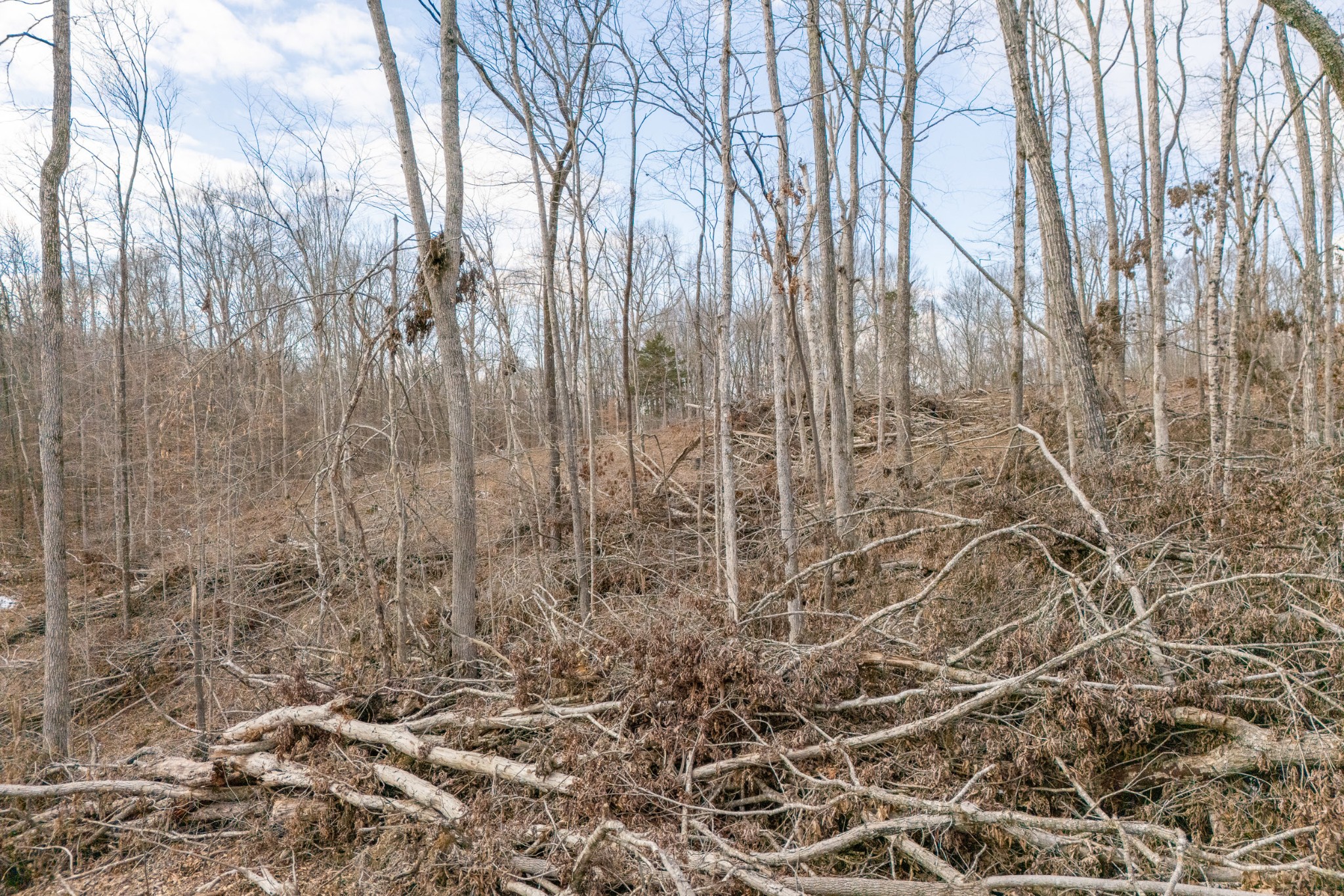 0 Hutchings Bend Rd Property Photo 13