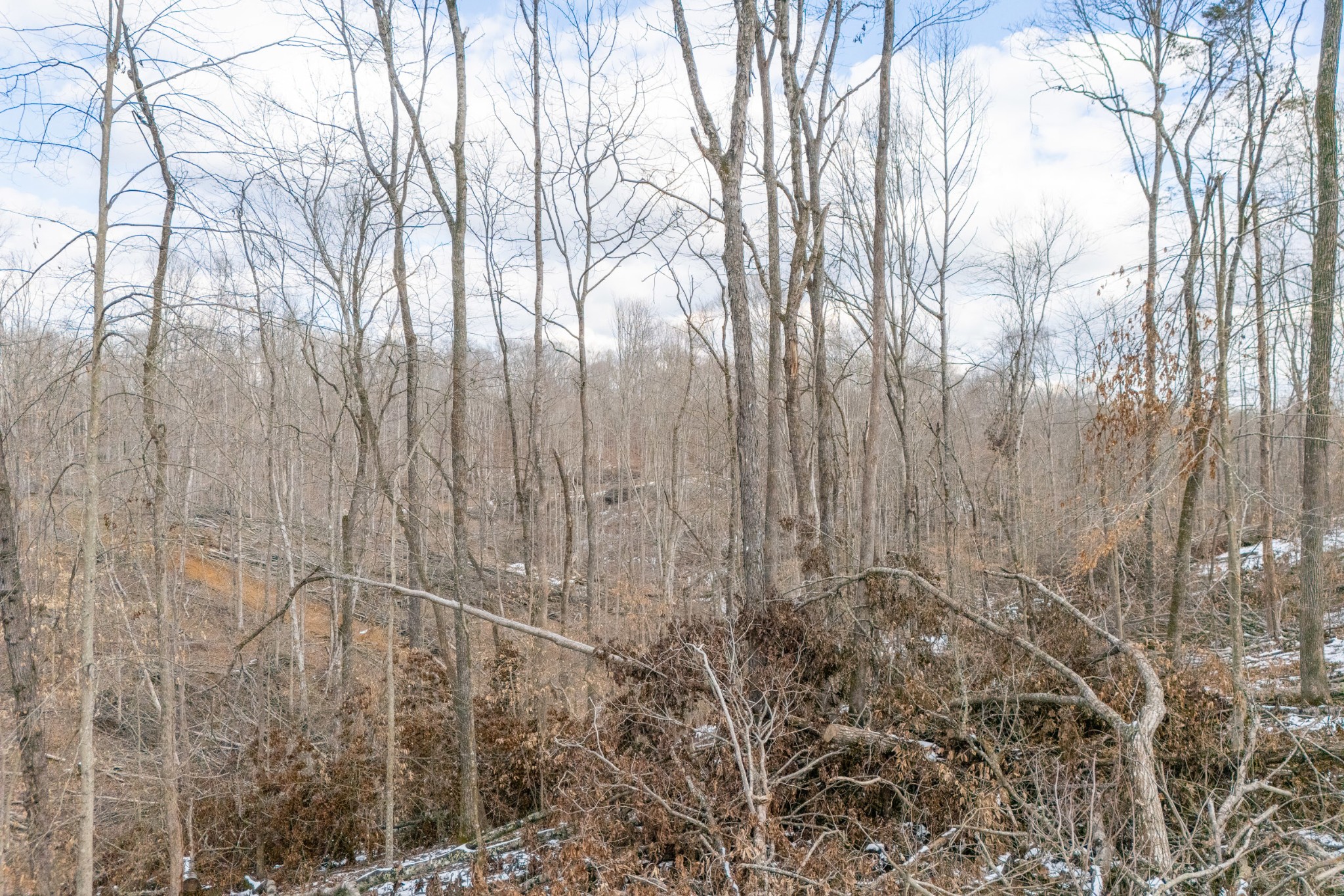 0 Hutchings Bend Rd Property Photo 14