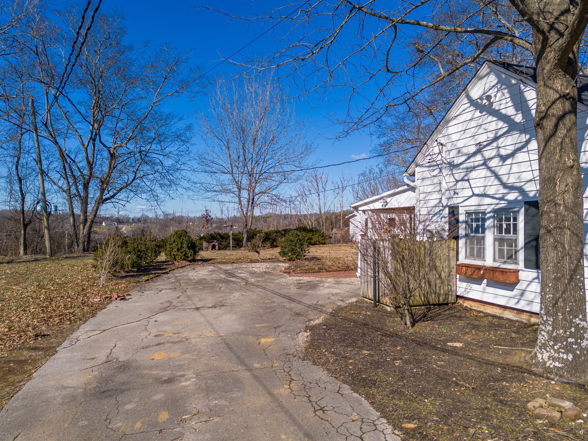 220 Rose St Property Photo 42