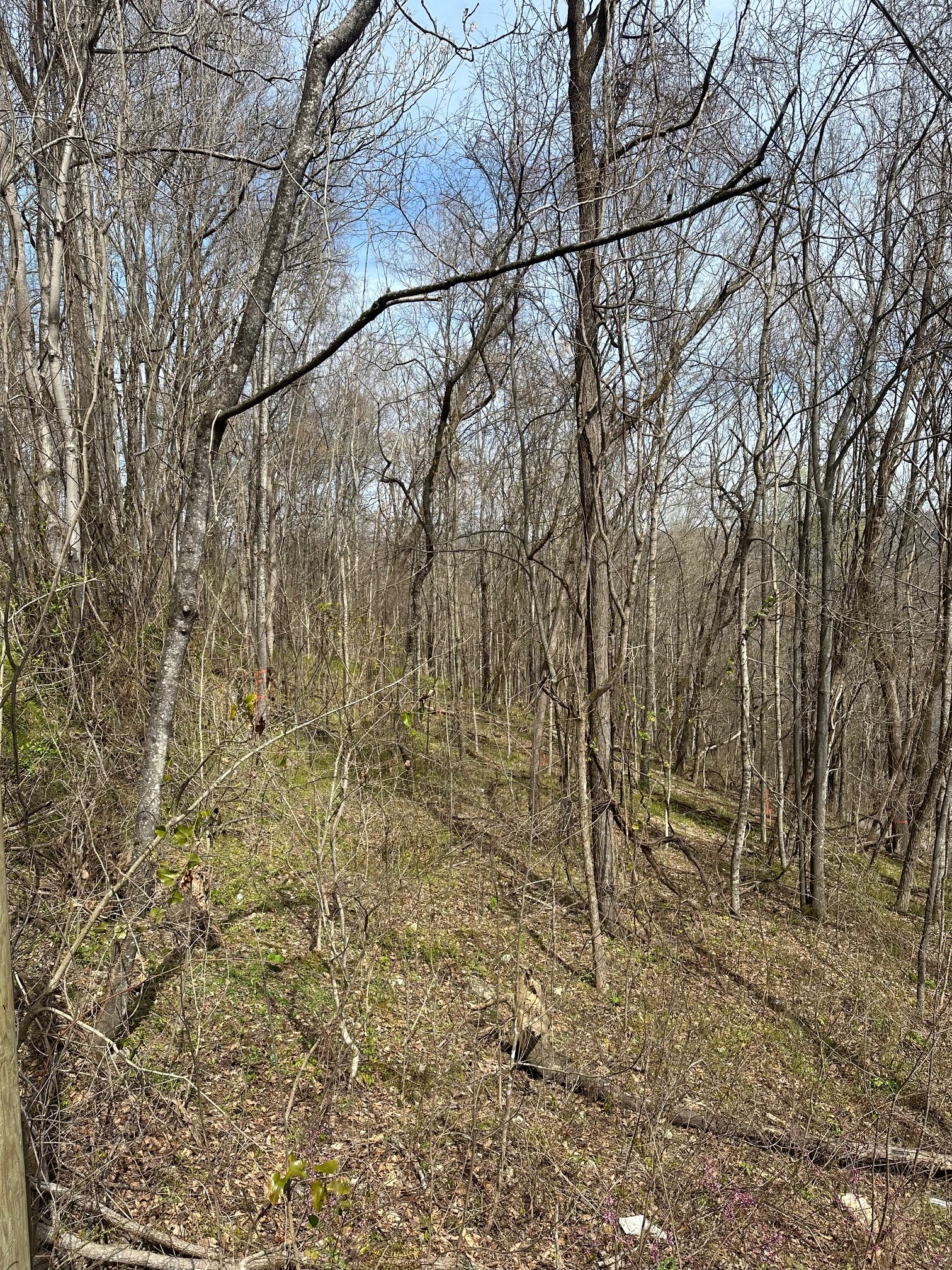 0 Mullican Dr Property Photo 16