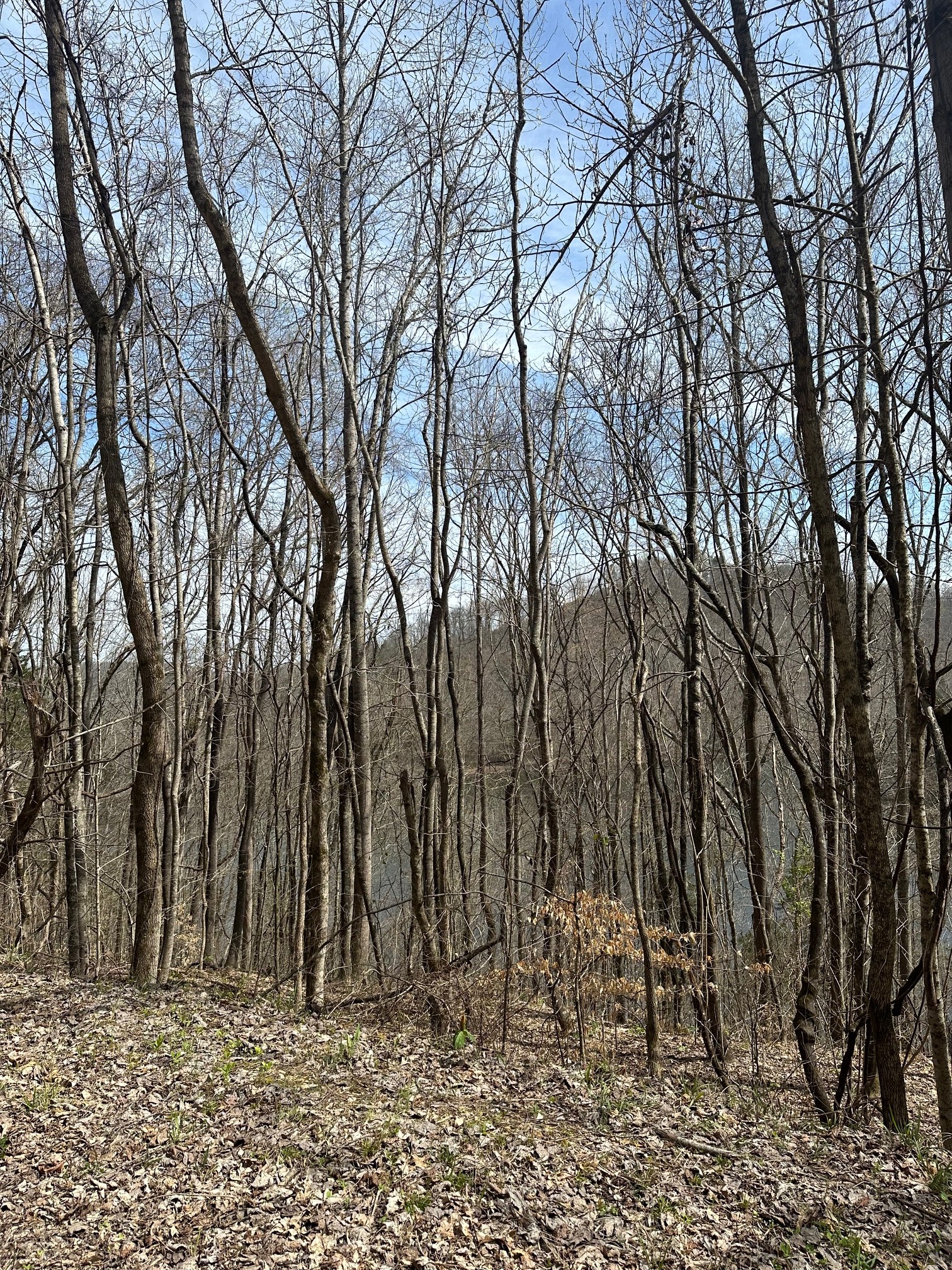 0 Lakeside Dr Property Photo 16