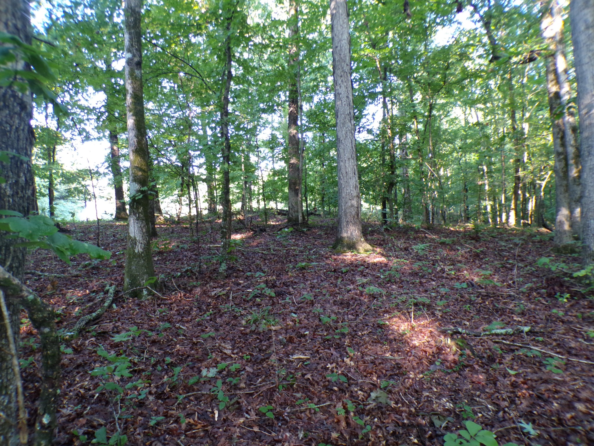 0 Lylewood Road Property Photo 2