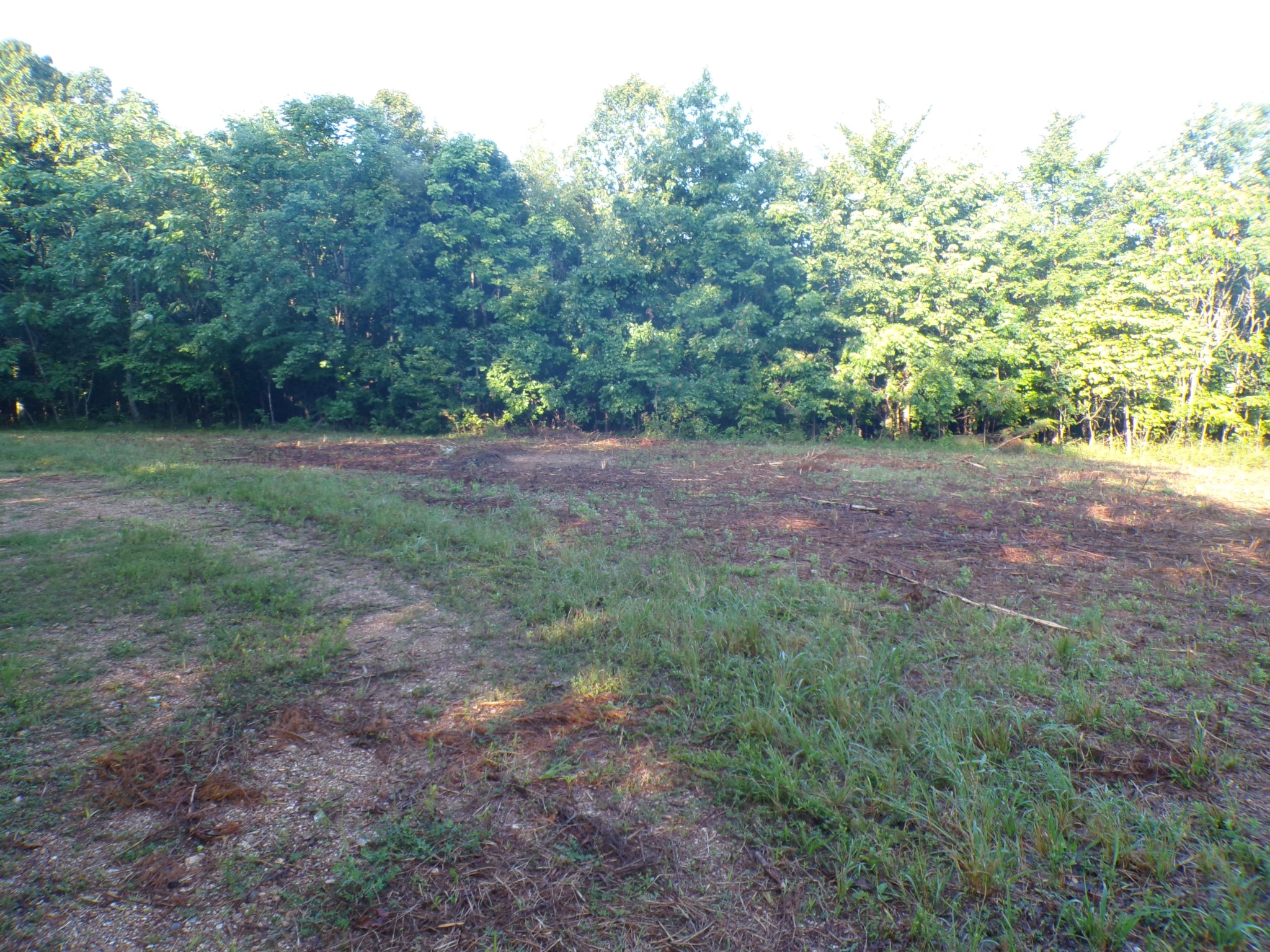 0 Lylewood Road Property Photo 7