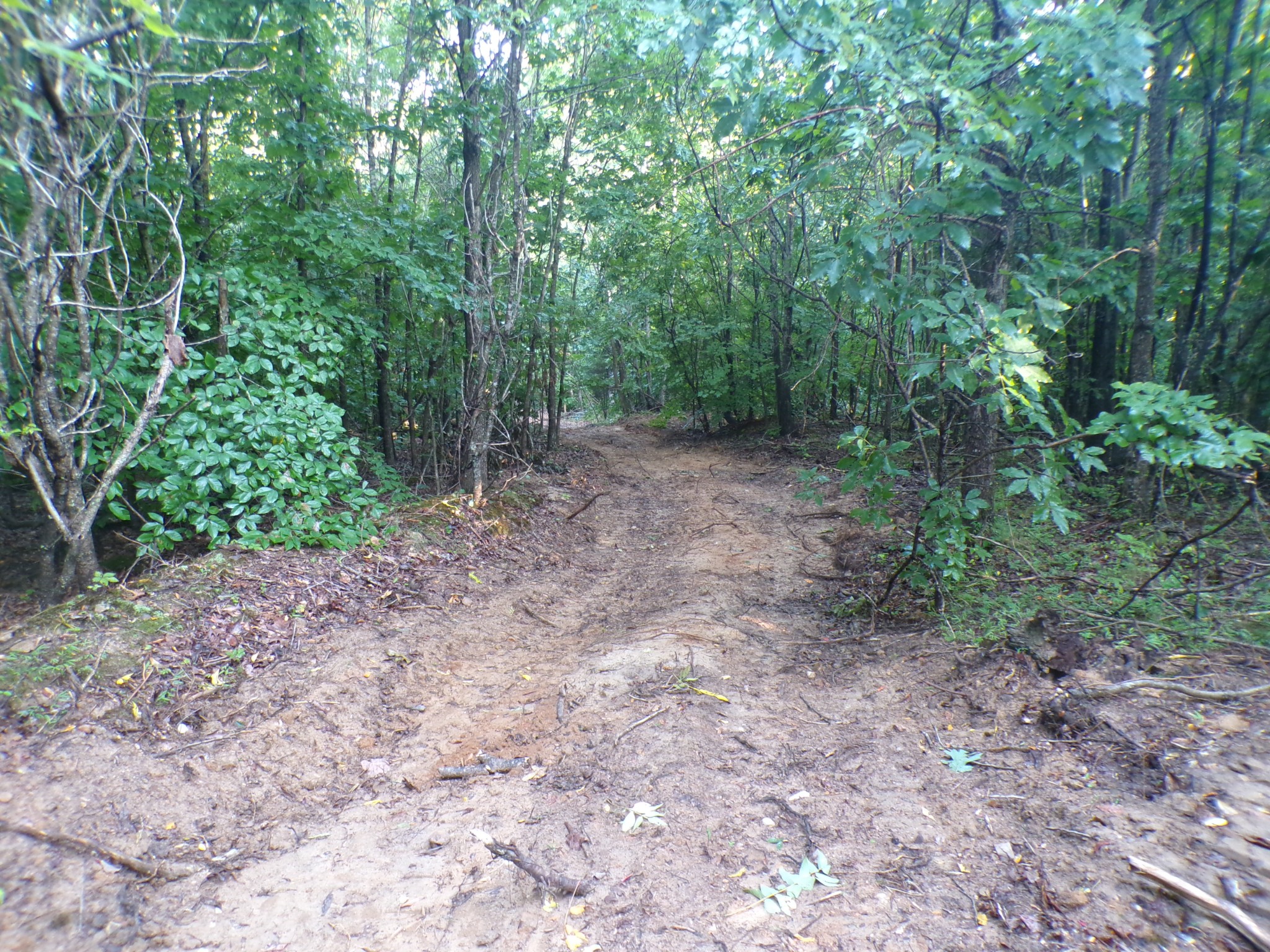 0 Lylewood Road Property Photo 8