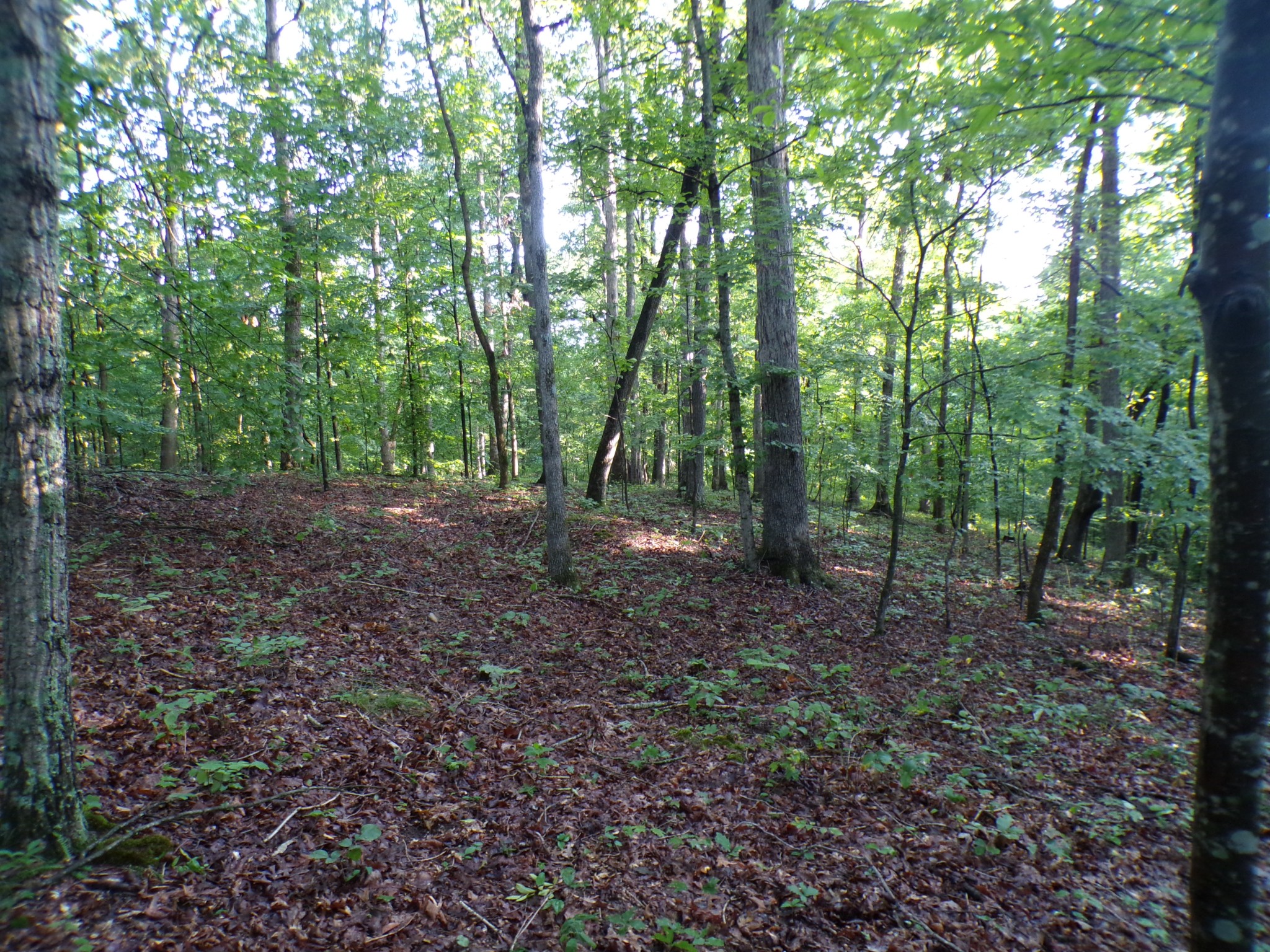 0 Lylewood Road Property Photo 9