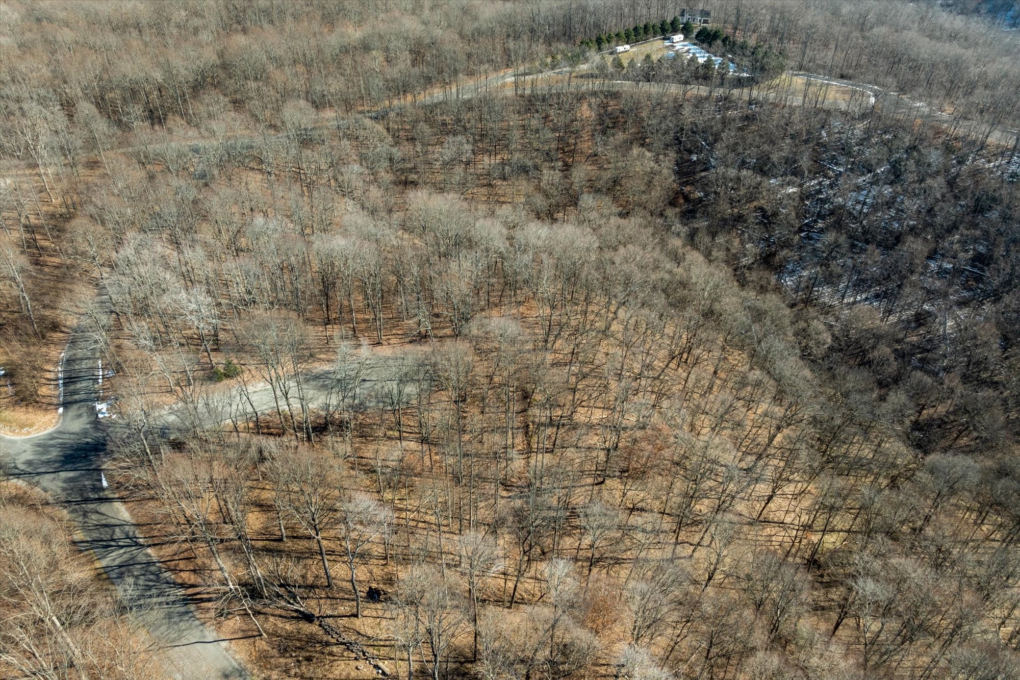 259 Randy Ct Property Photo 3