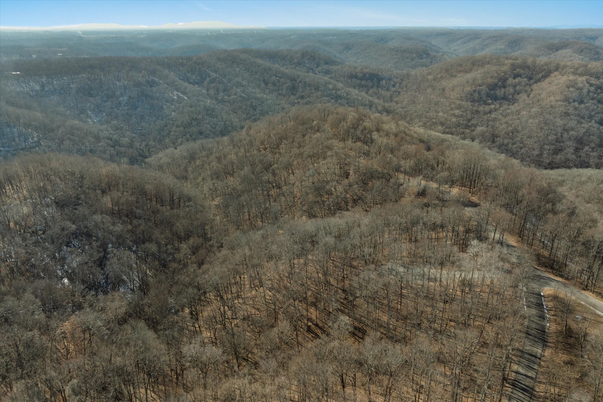 259 Randy Ct Property Photo 6