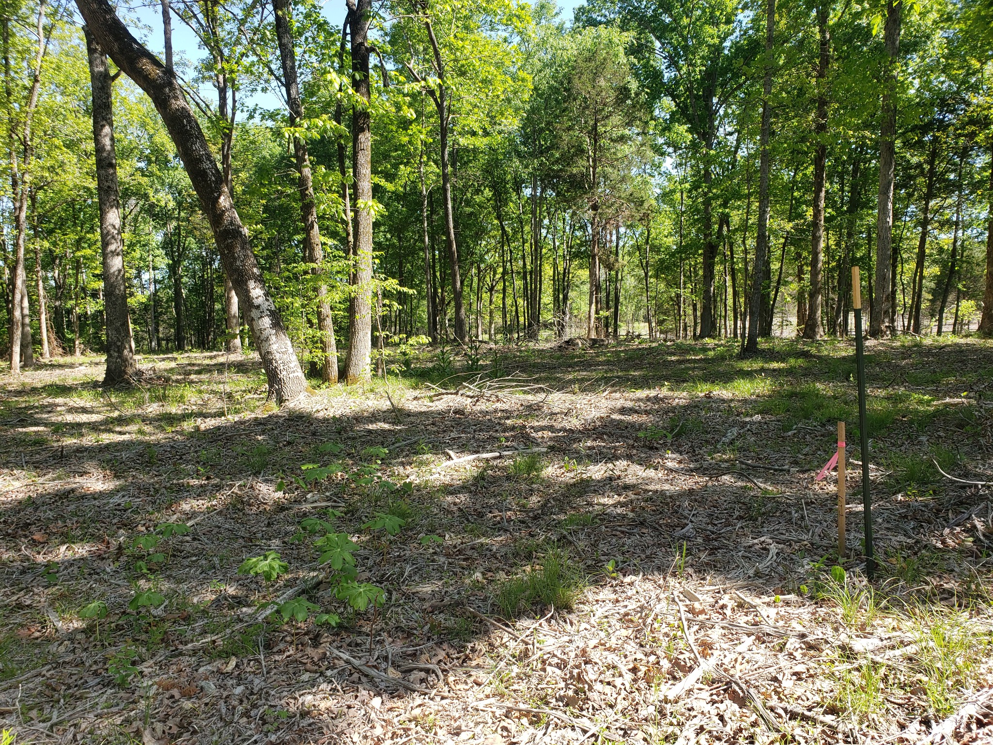 4821 Kedron Rd Property Photo 1