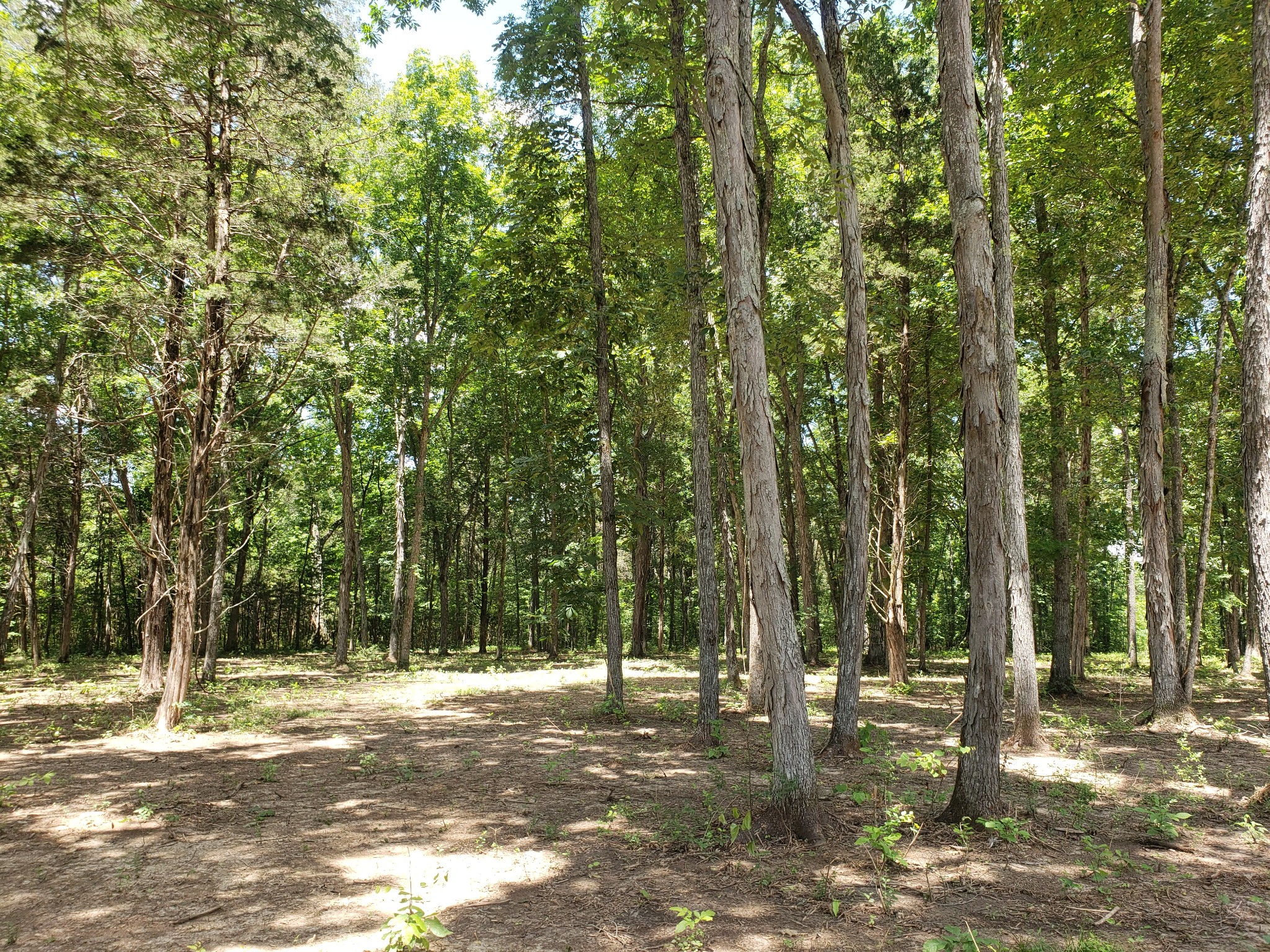 4821 Kedron Rd Property Photo 5