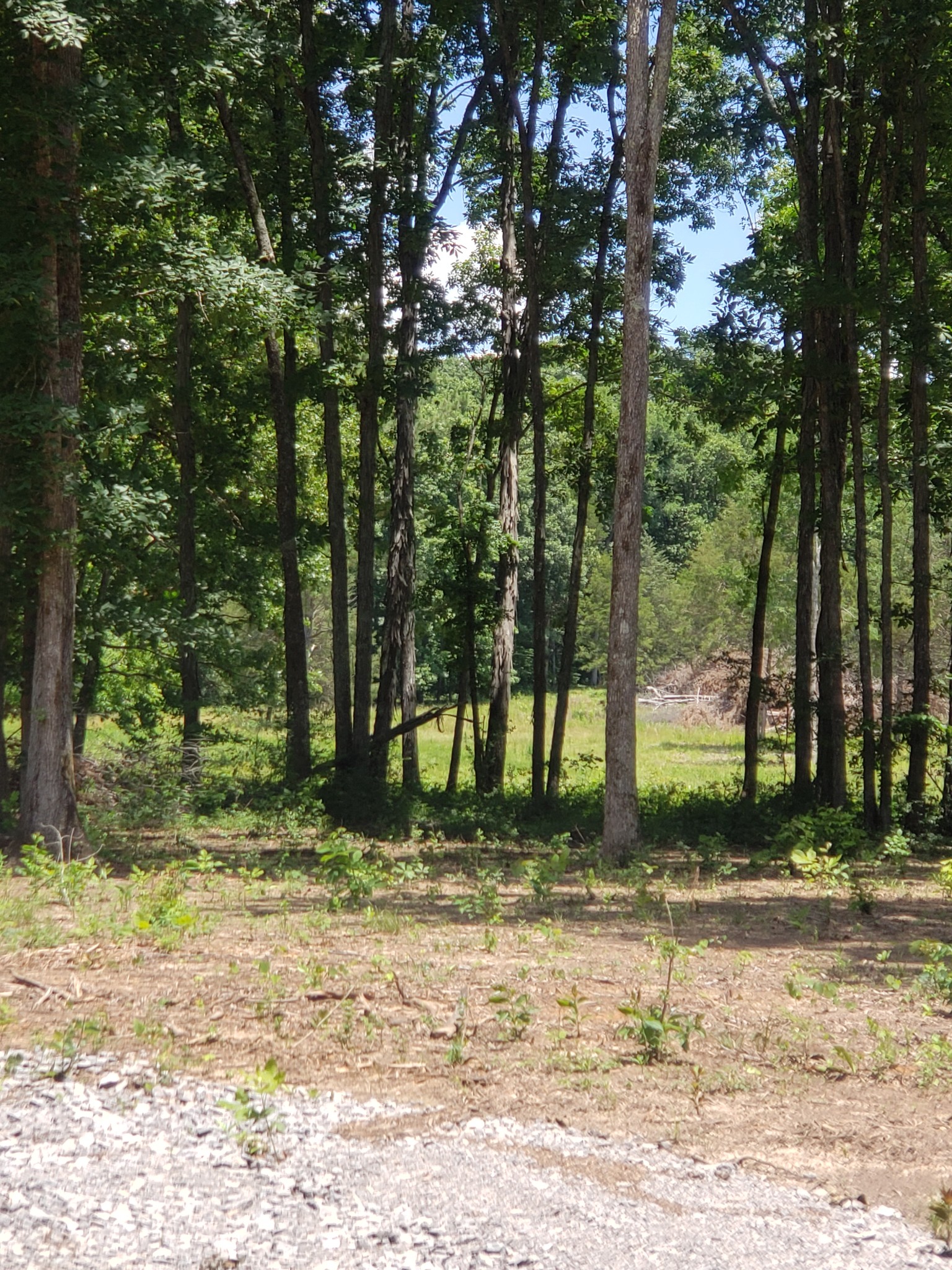 4821 Kedron Rd Property Photo 10