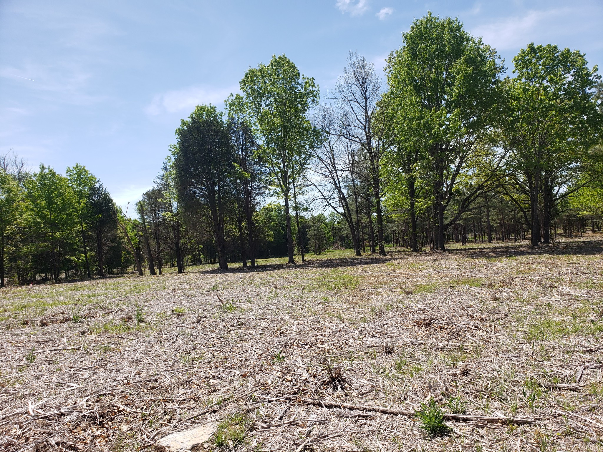 4821 Kedron Rd Property Photo 11
