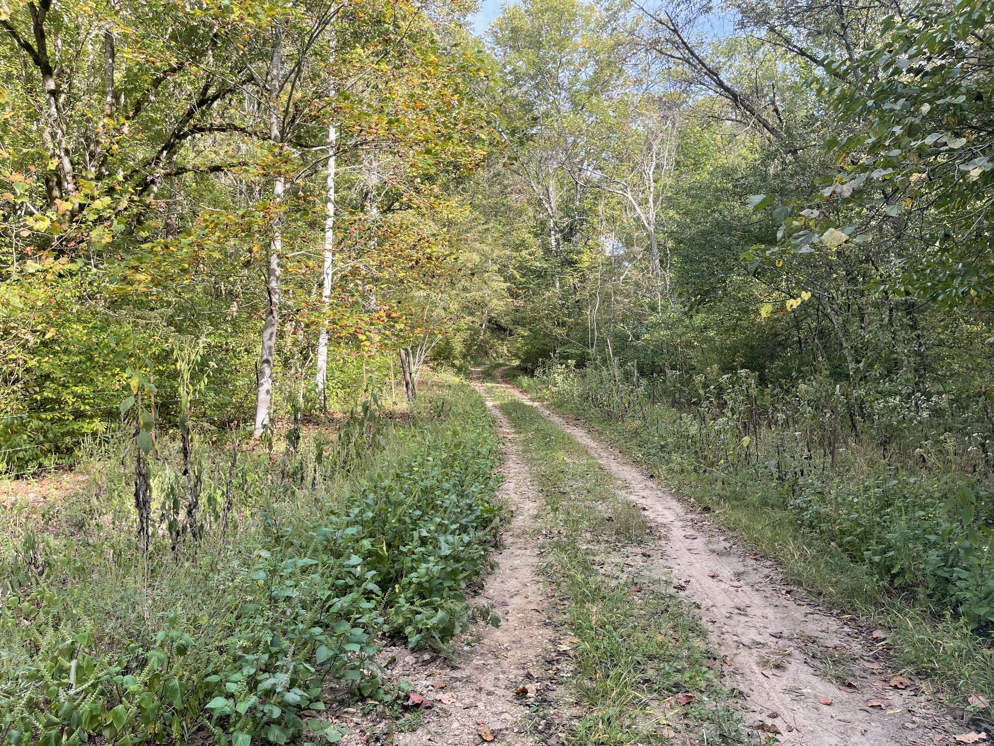 1 Jones Hollow Rd Property Photo