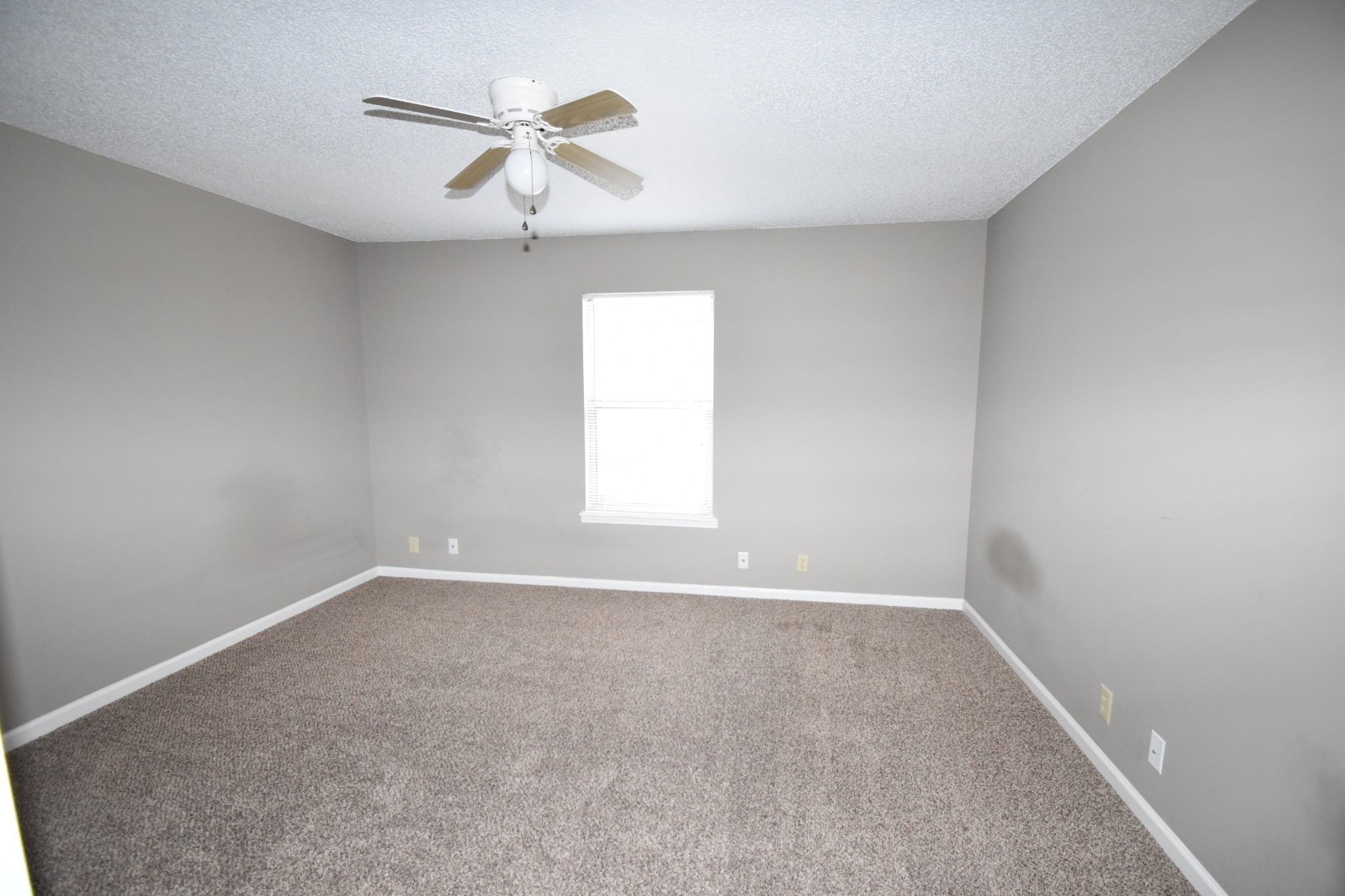 107 Ballygar St Property Photo 11