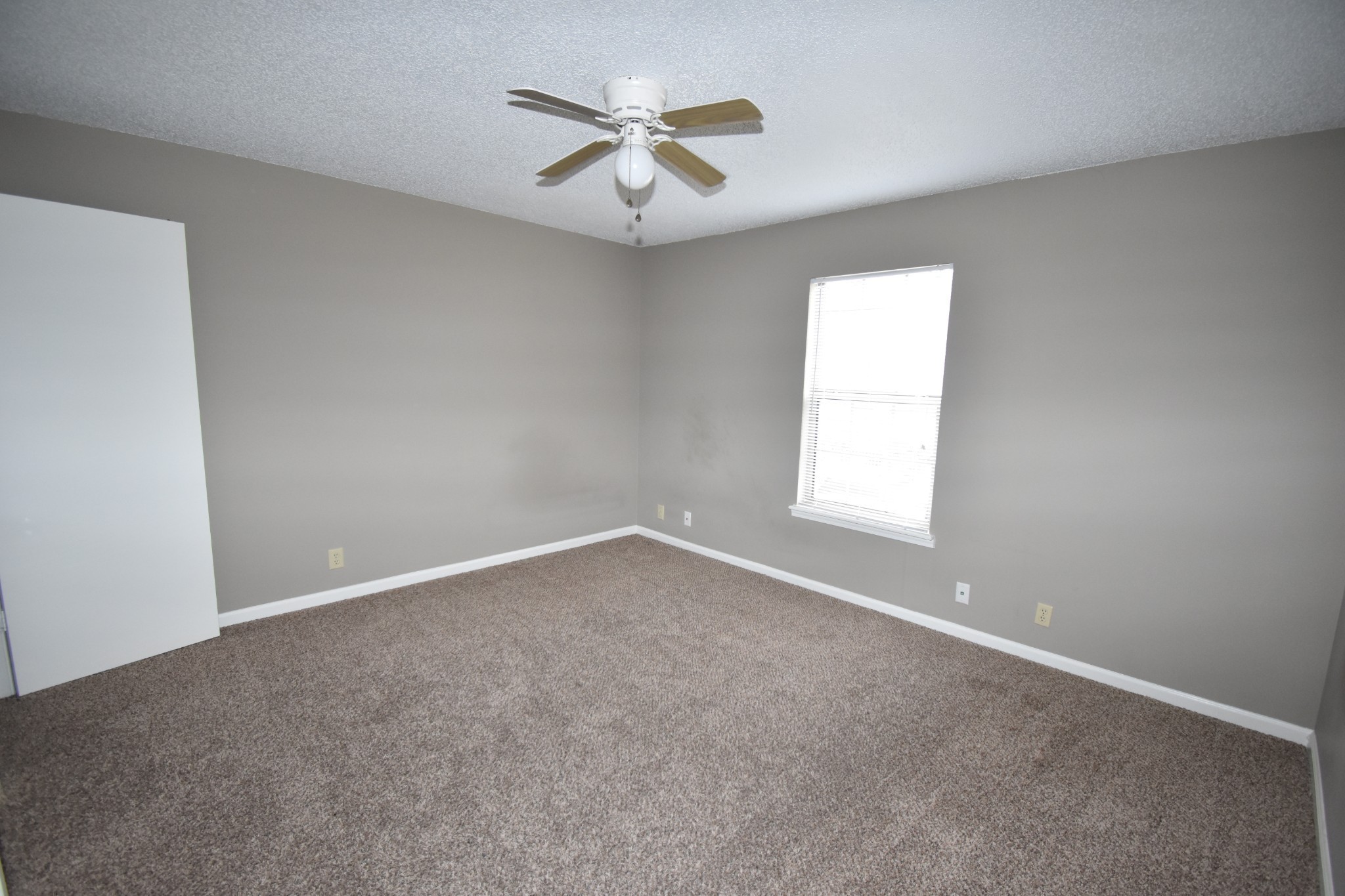 107 Ballygar St Property Photo 13