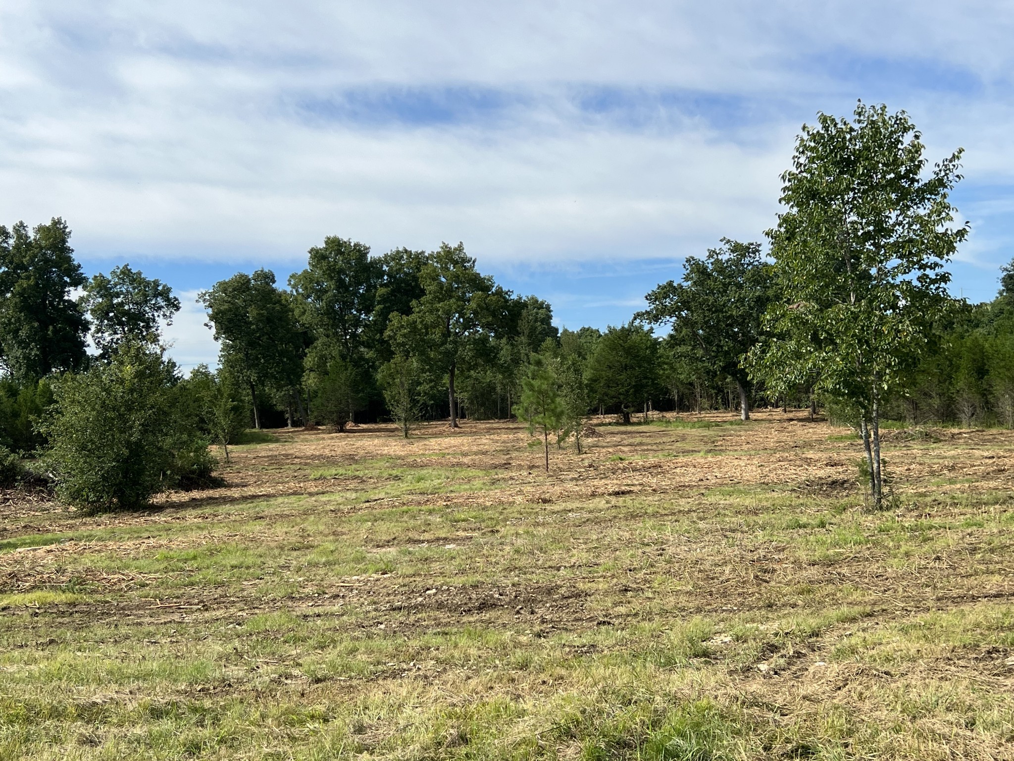 0 Wartrace Pike Property Photo 1