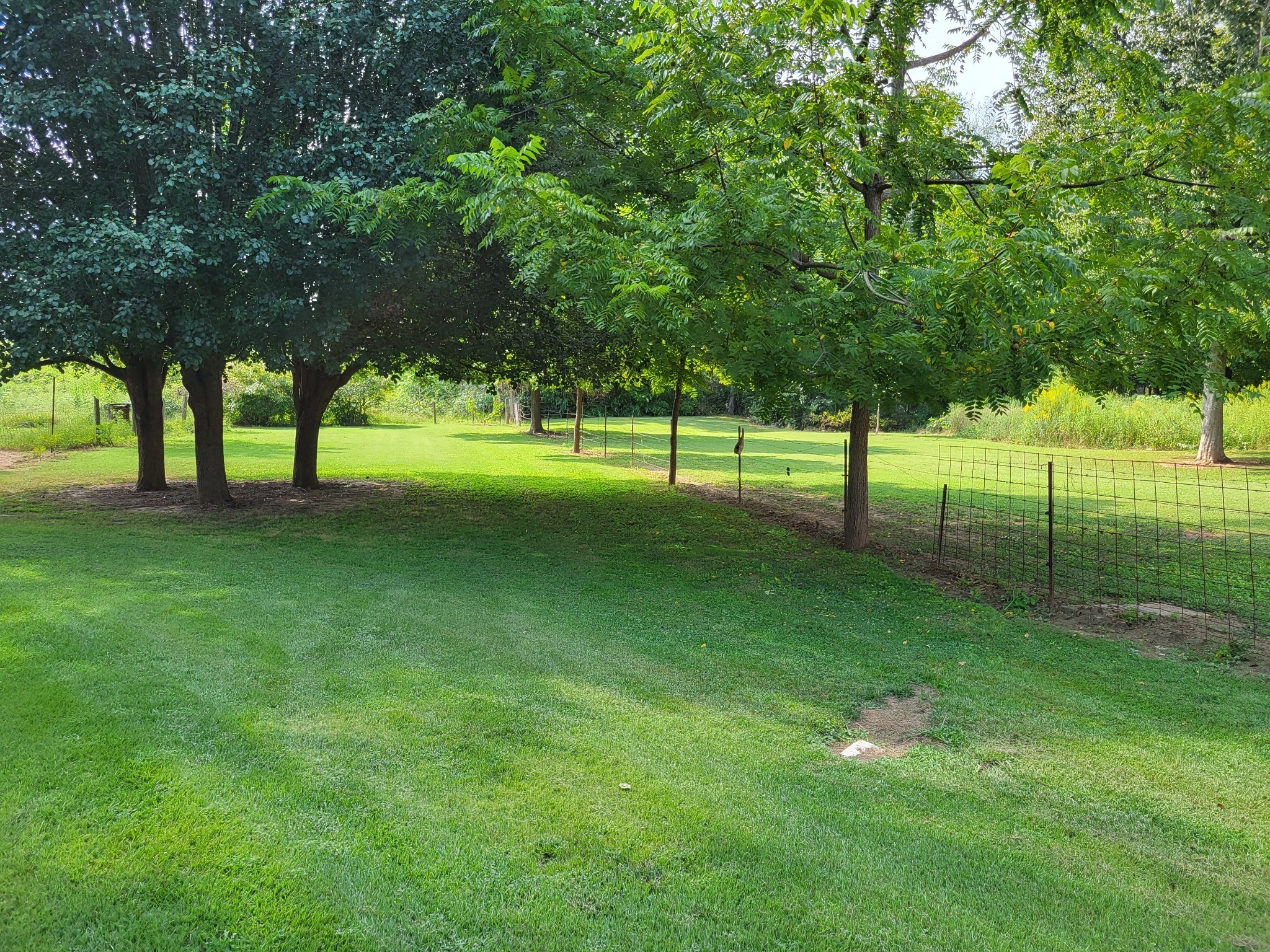 967 Mud Creek Rd Property Photo 24