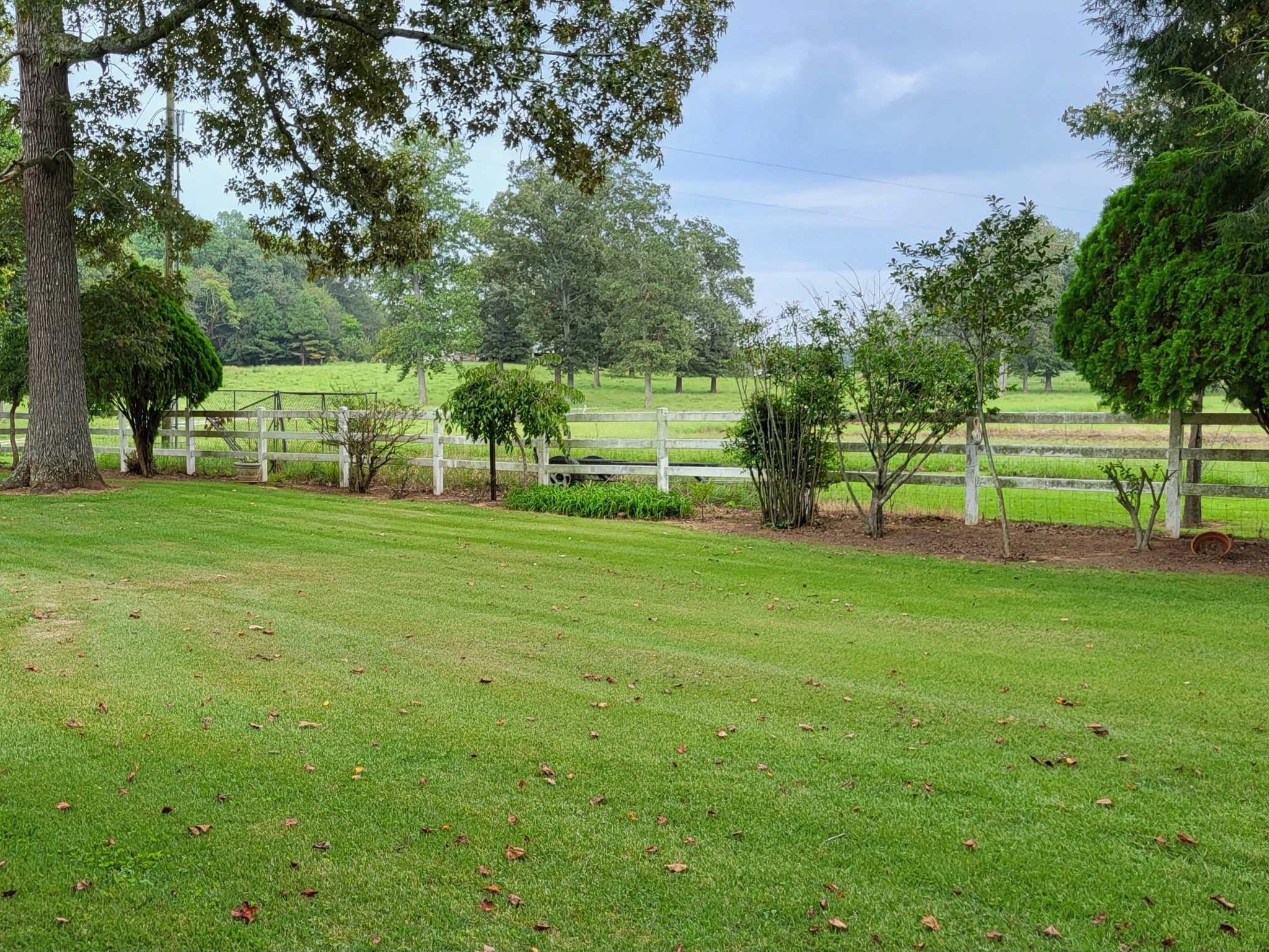 967 Mud Creek Rd Property Photo 25
