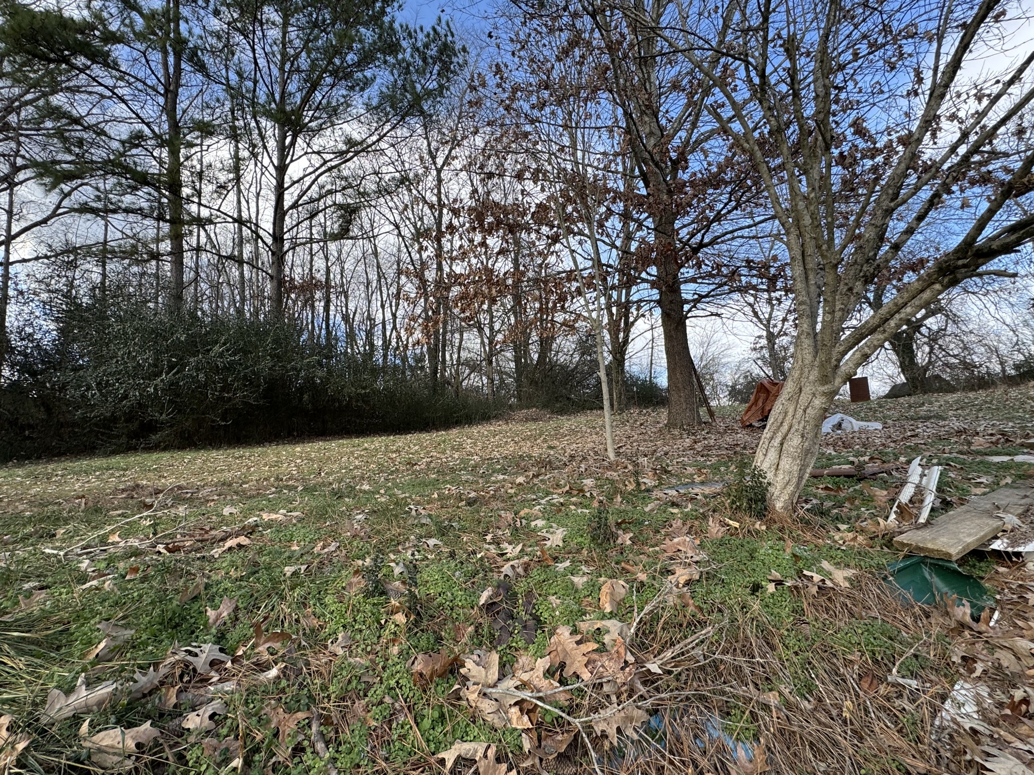 206 Conger St Property Photo 1