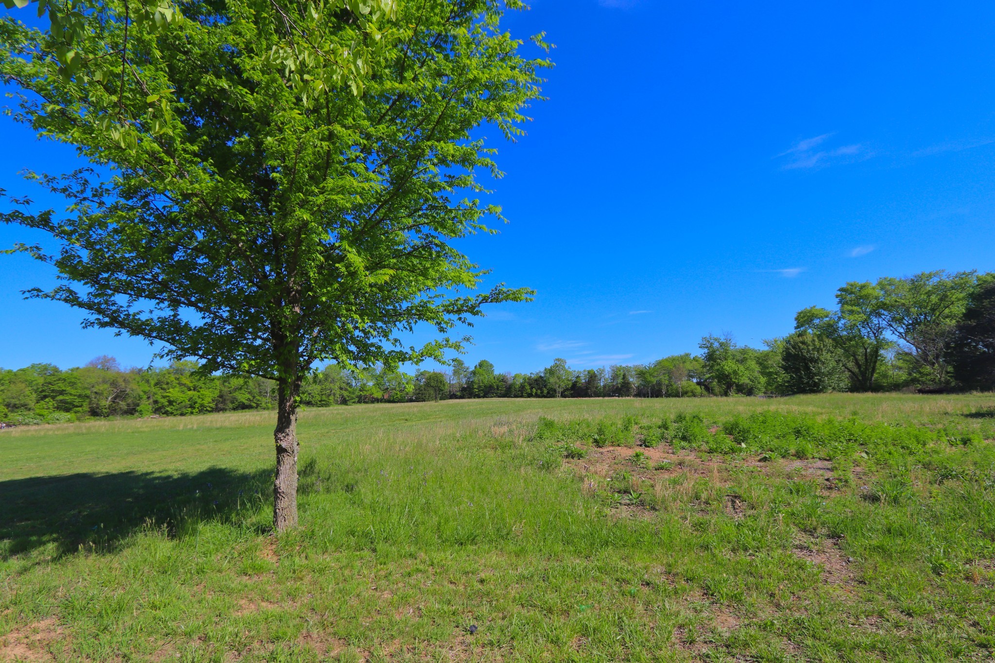 3135 Leeville Pike Property Photo 22
