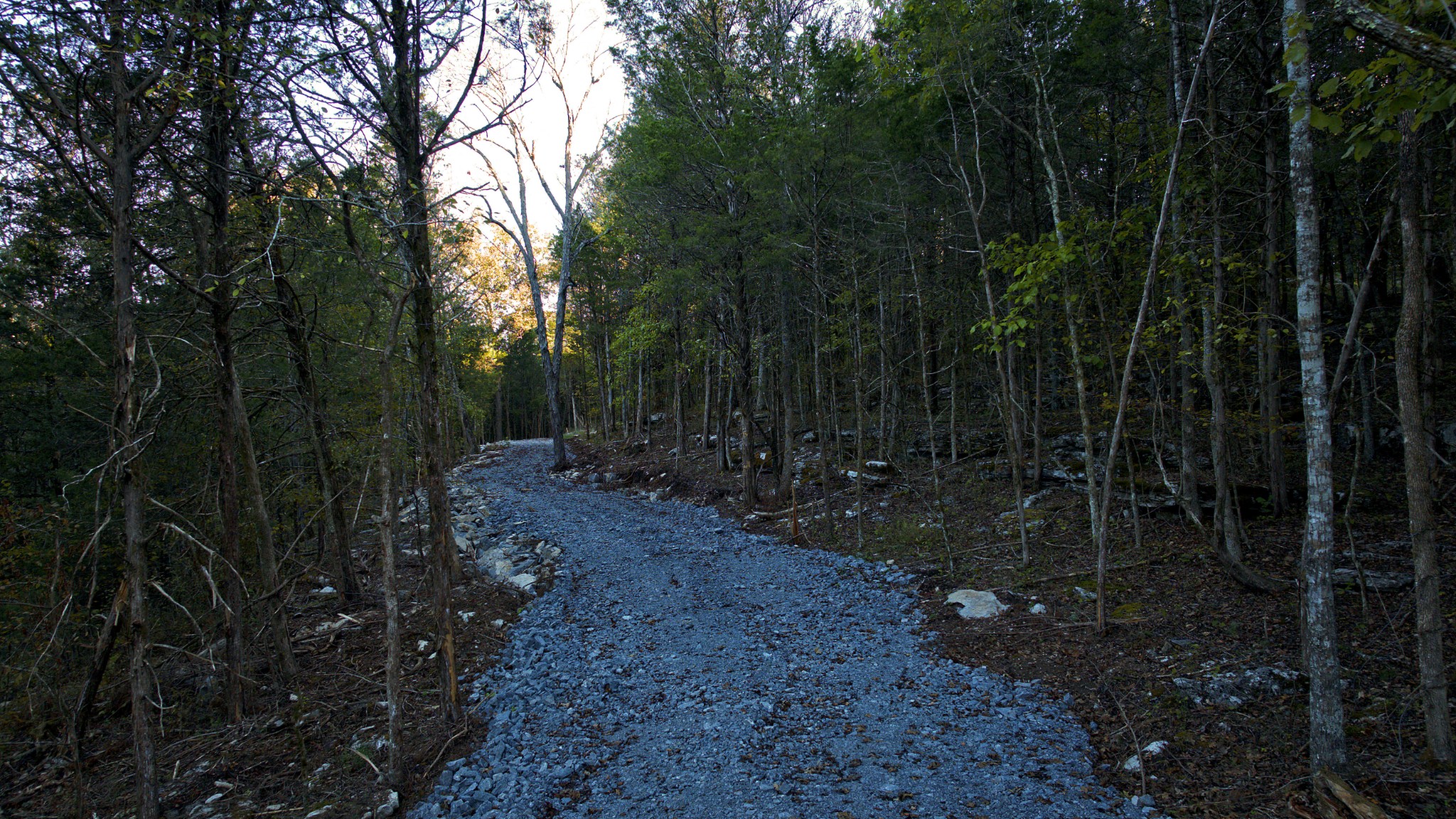 999 Ford Rd Property Photo 13