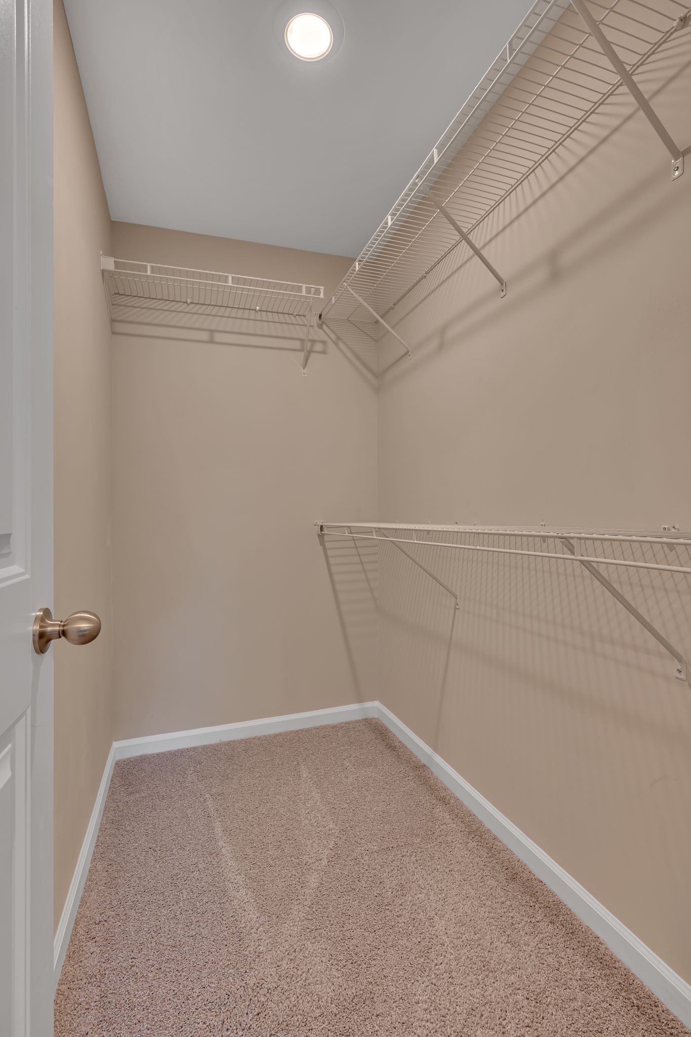 318 Moshe Feder Way Property Photo 11