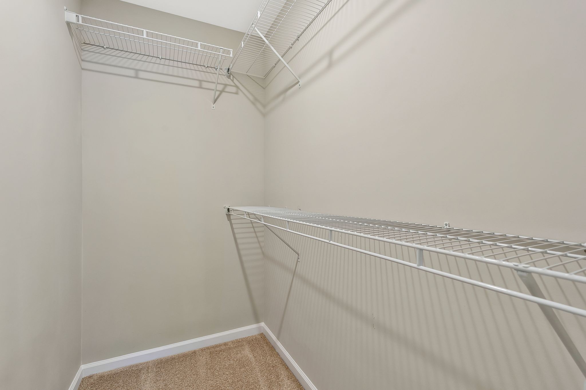 318 Moshe Feder Way Property Photo 12