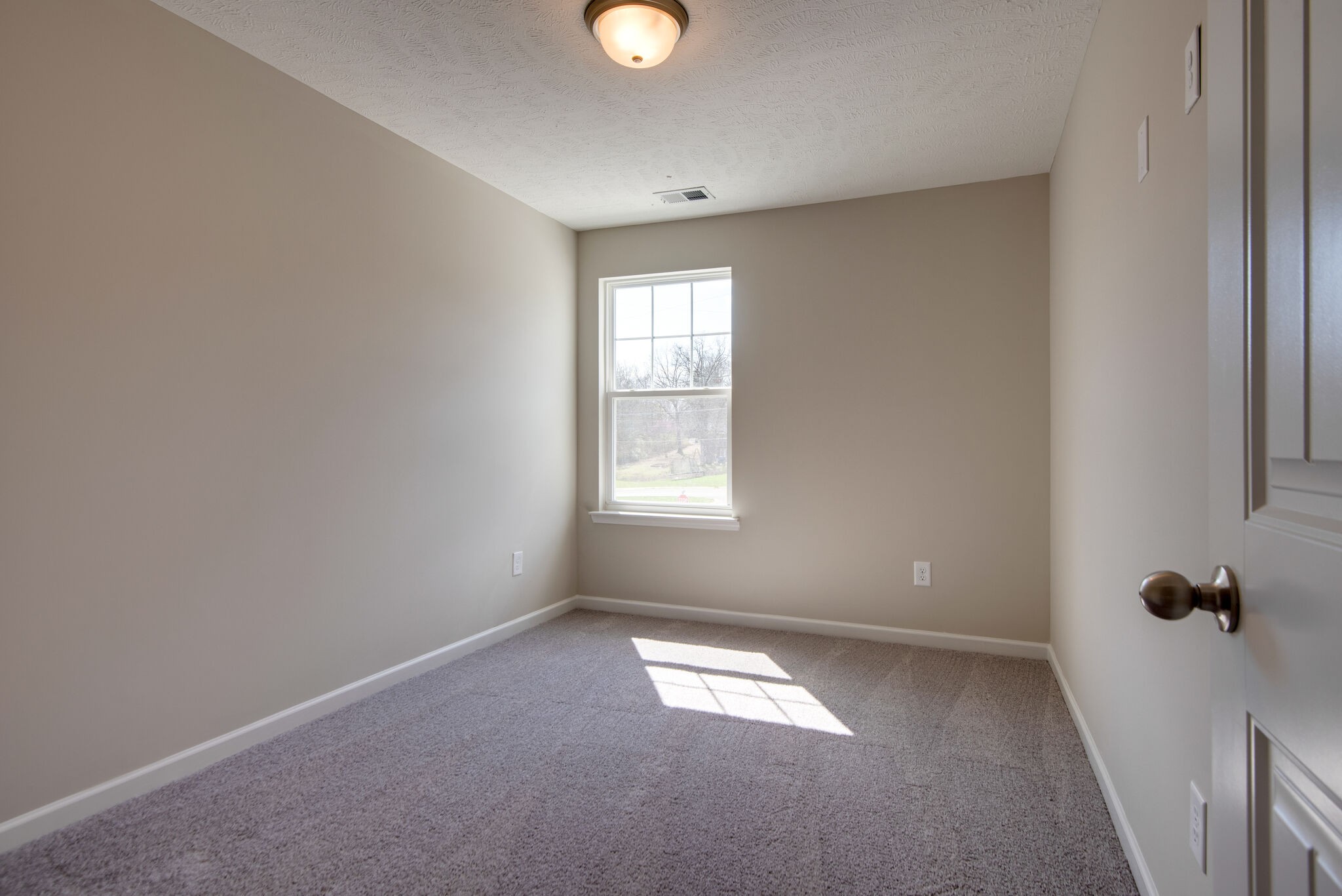 316 Moshe Feder Way Property Photo 24