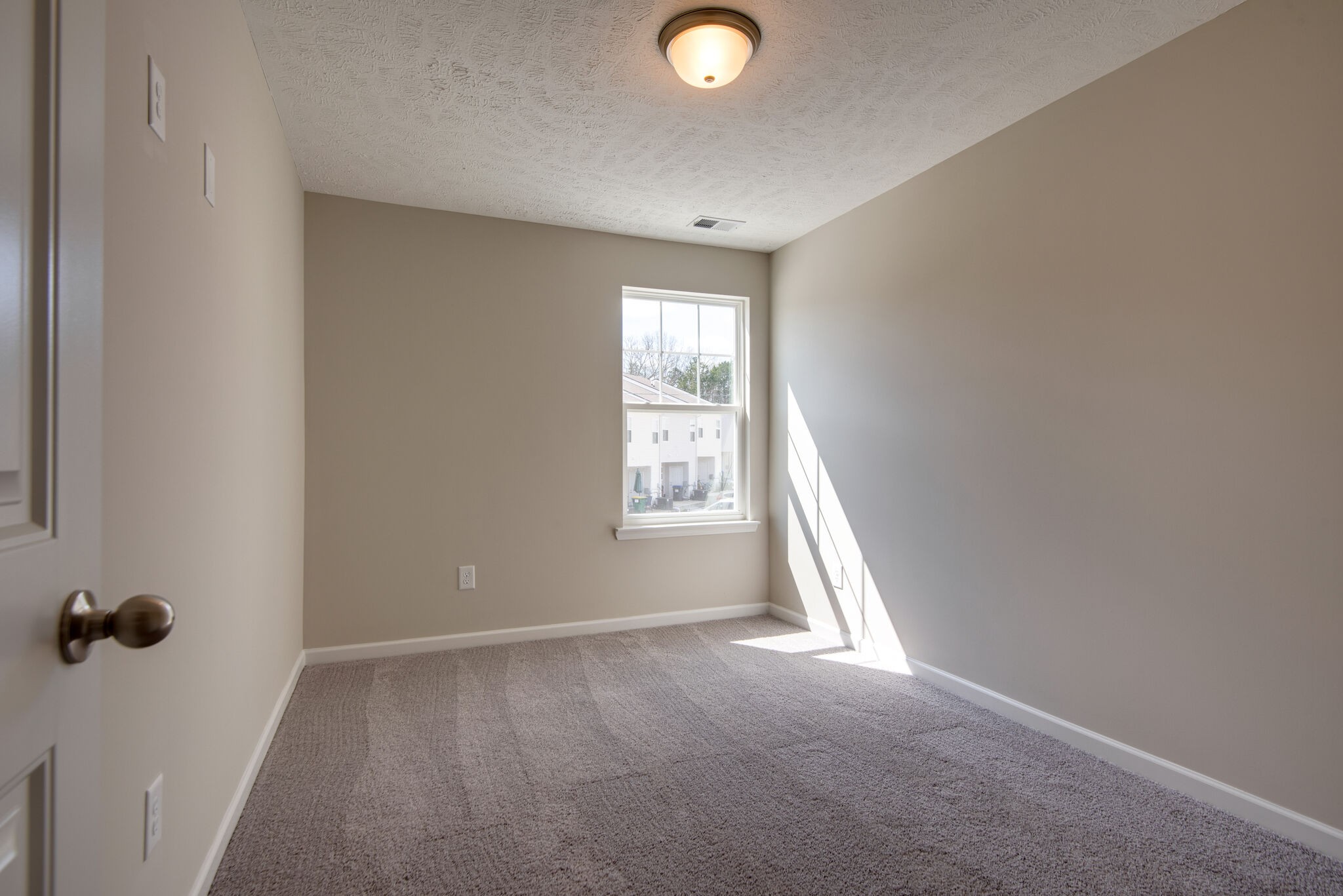 316 Moshe Feder Way Property Photo 25