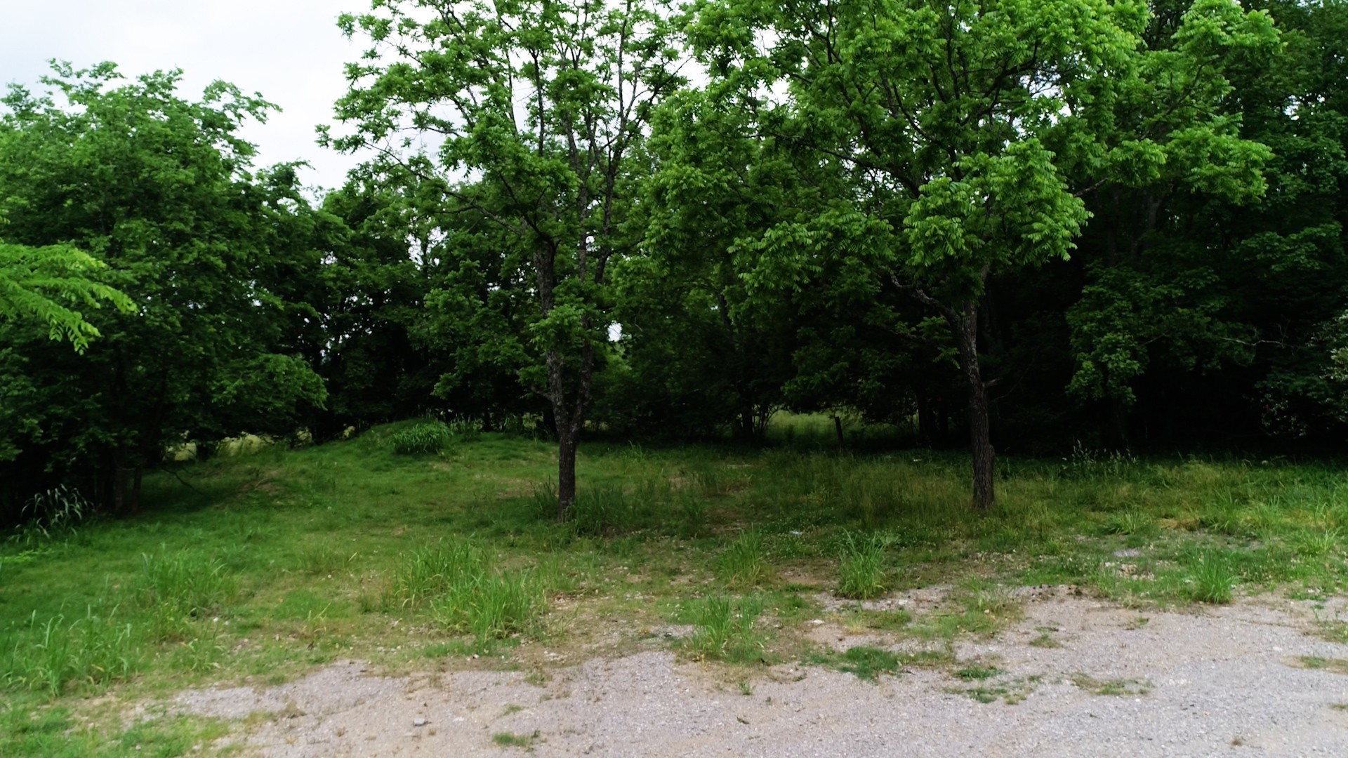 10615 Lebanon Rd Property Photo 7