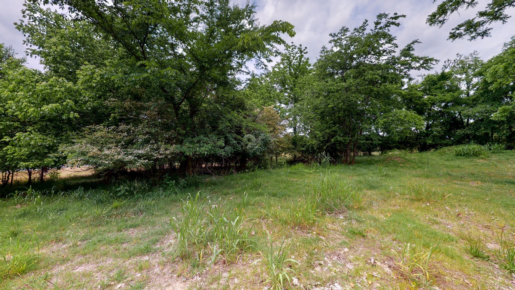 10615 Lebanon Rd Property Photo 17