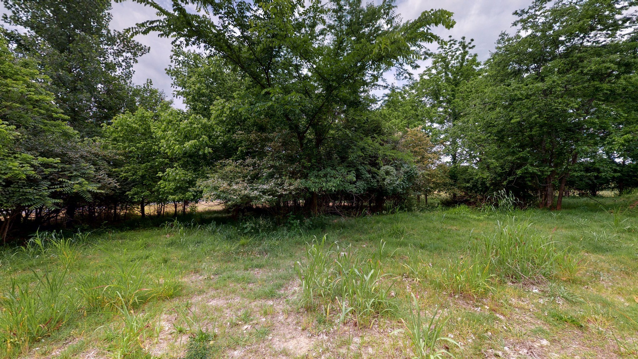 10615 Lebanon Rd Property Photo 18