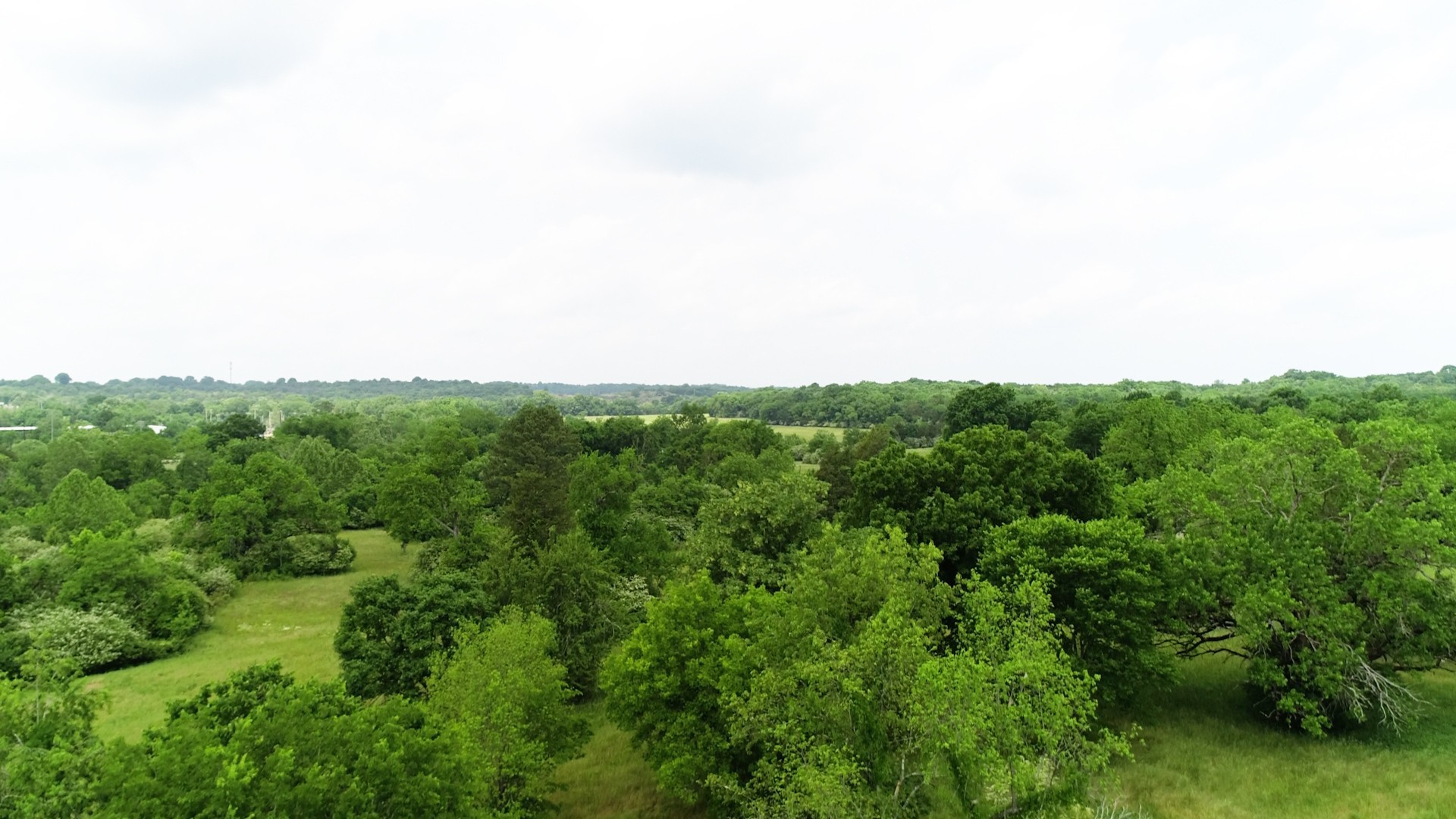 10615 Lebanon Rd Property Photo 26