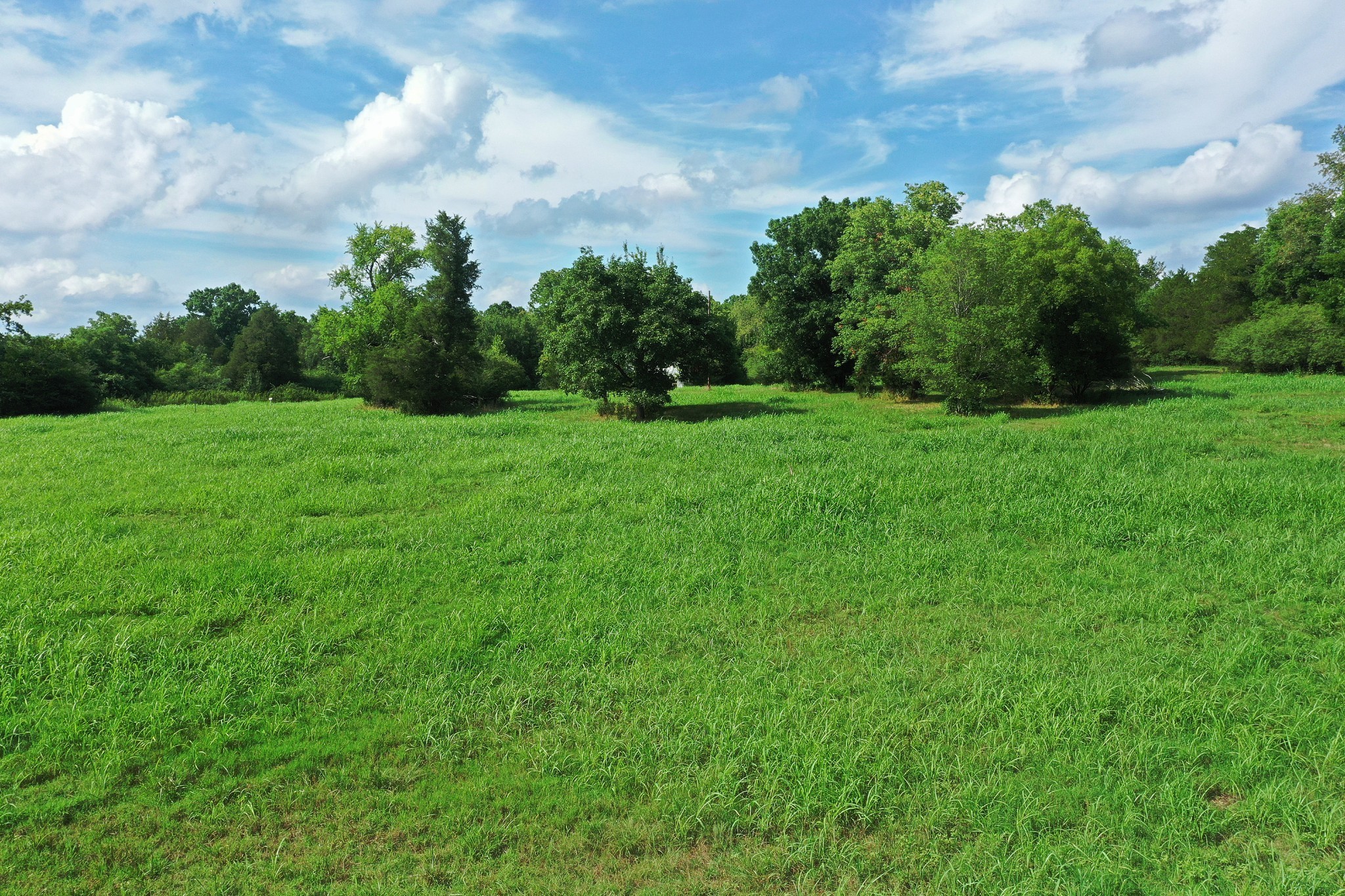 10645 Lebanon Rd Property Photo 8