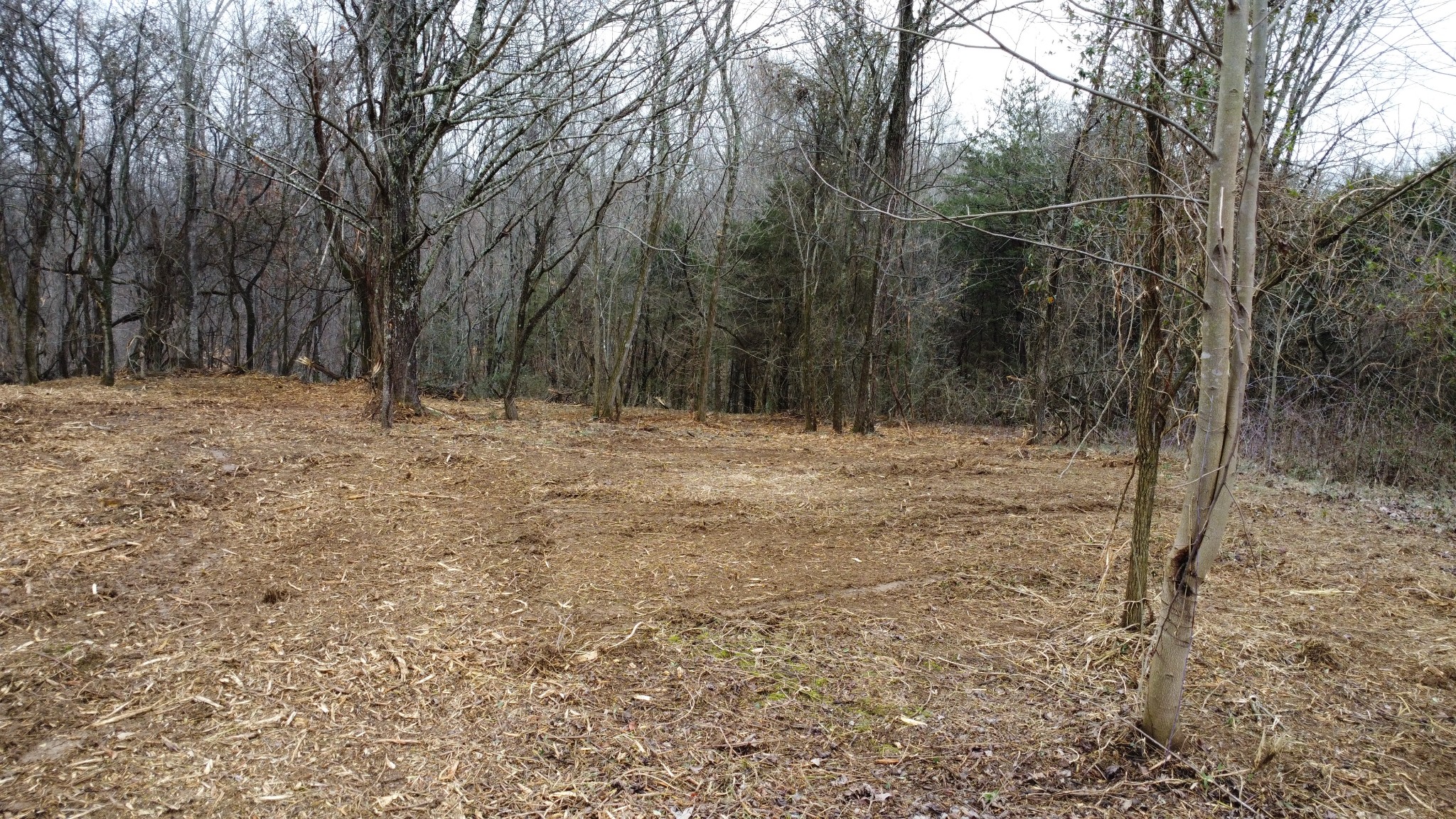 0 Hensley Chapel Rd Property Photo