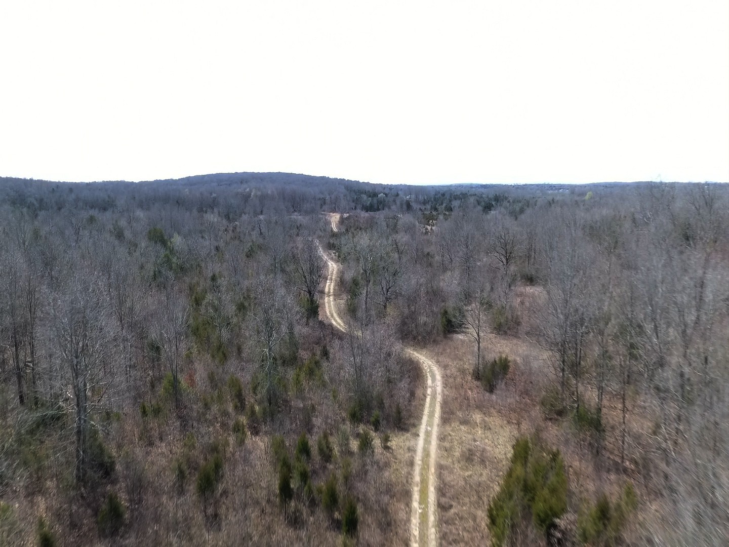 0 Moccasin Rd Property Photo 6