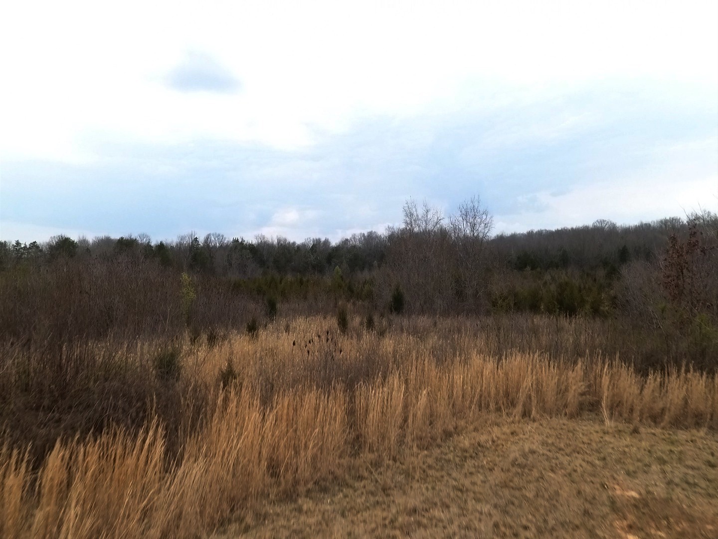 0 Moccasin Rd Property Photo 9