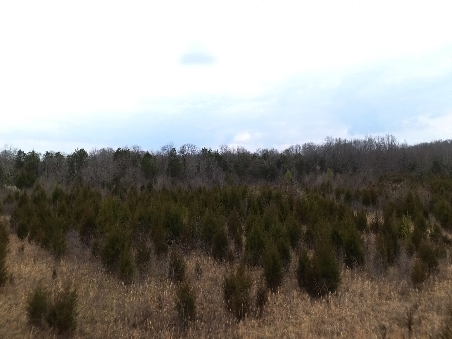 0 Moccasin Rd Property Photo 10