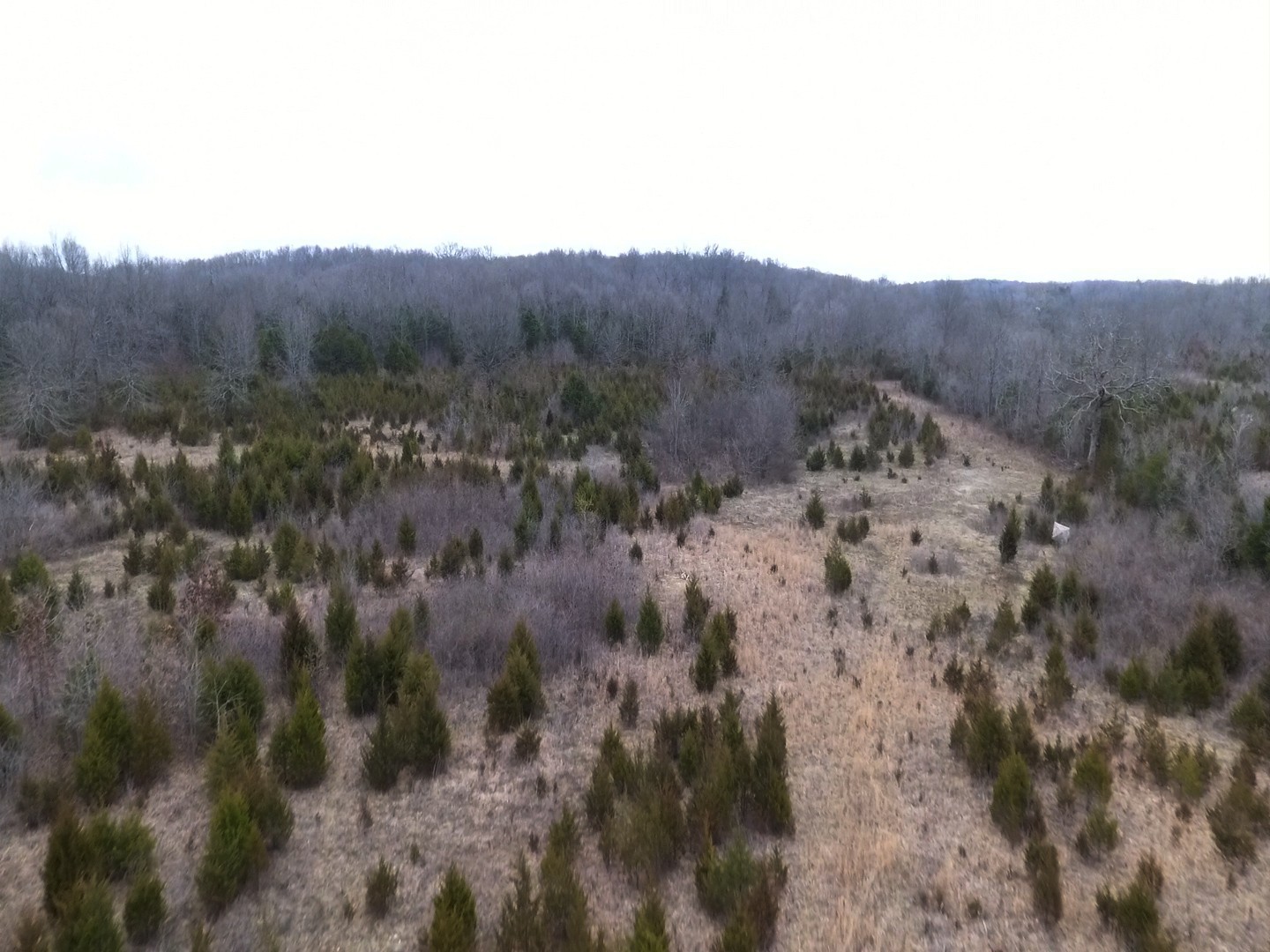 0 Moccasin Rd Property Photo 11