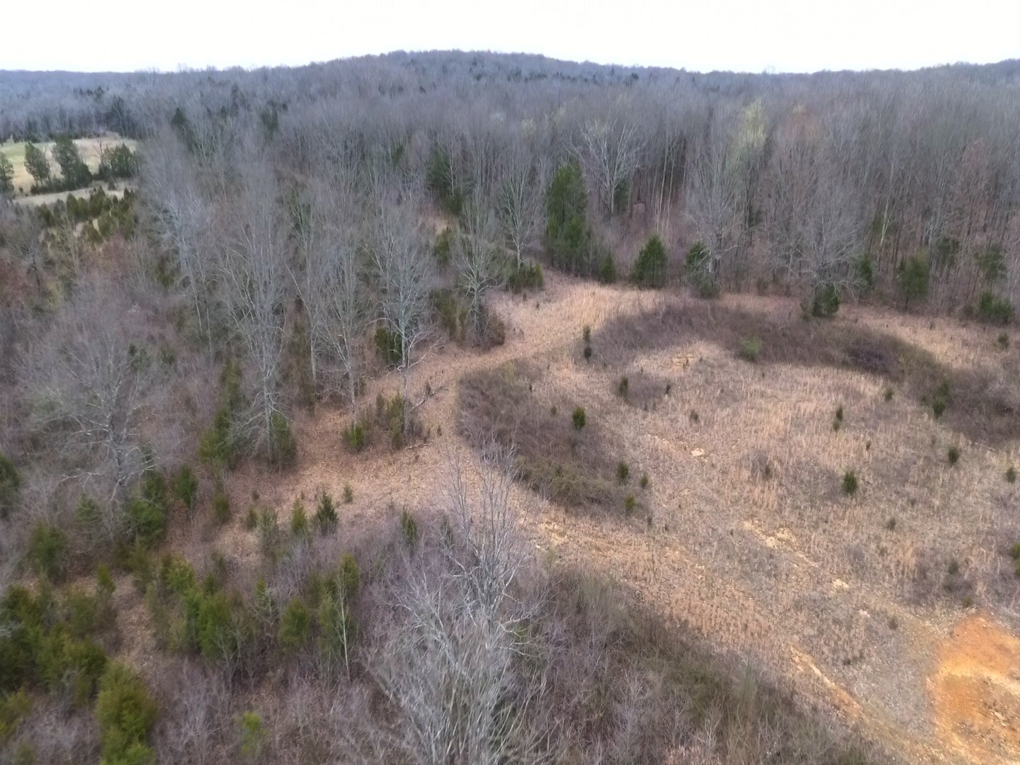 0 Moccasin Rd Property Photo 12