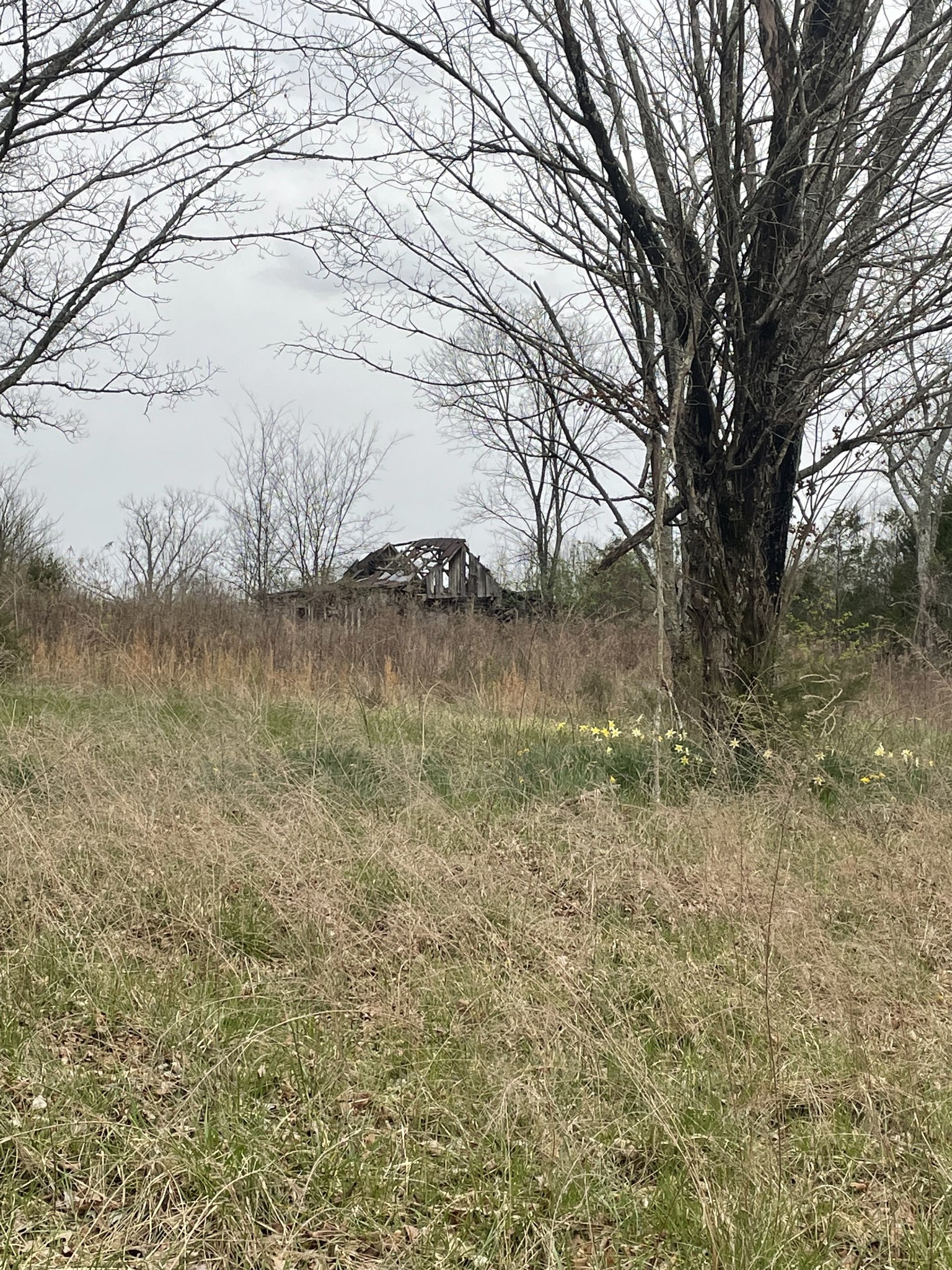 0 Moccasin Rd Property Photo 19