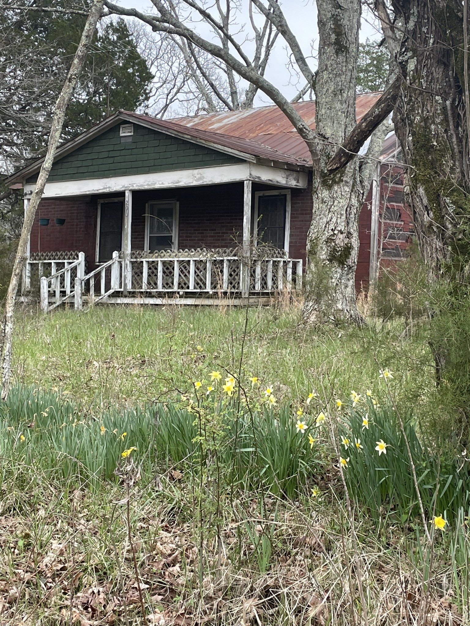 0 Moccasin Rd Property Photo 21